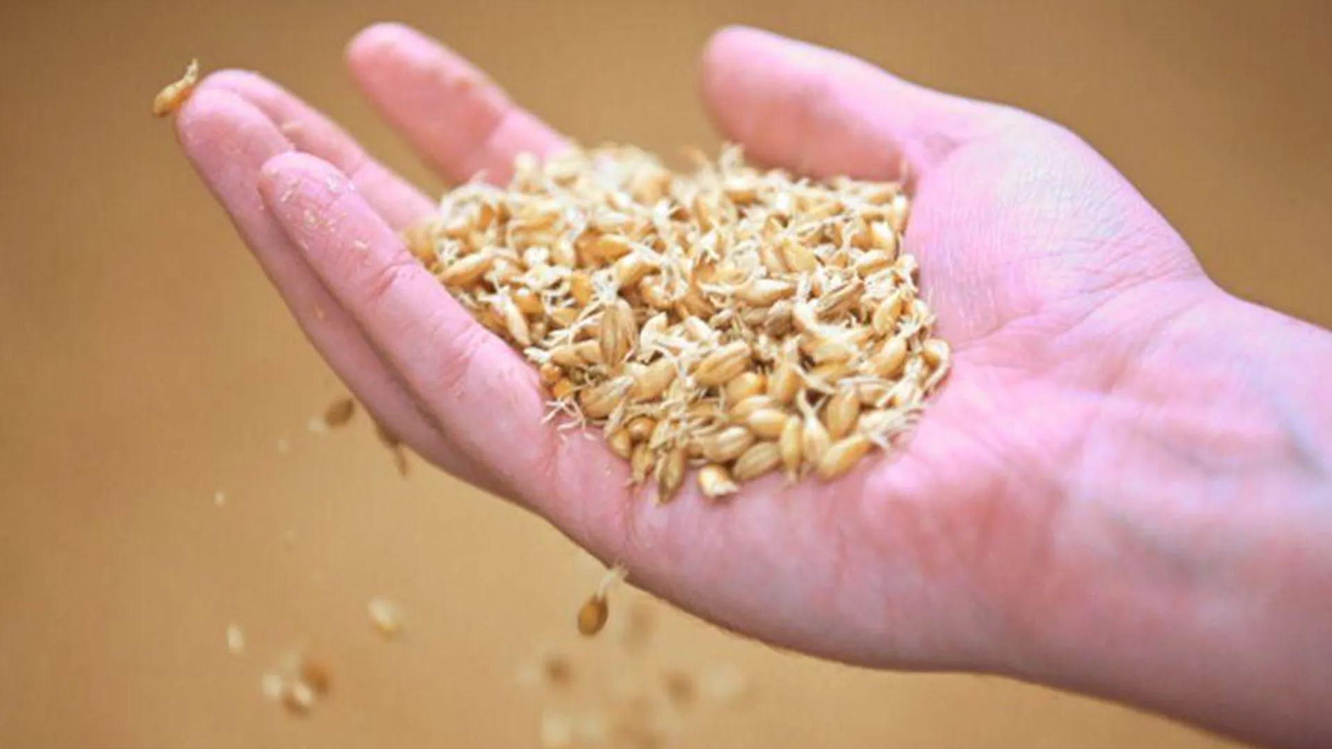 Политолог раскрыл «закулисную часть» зерновой сделки 