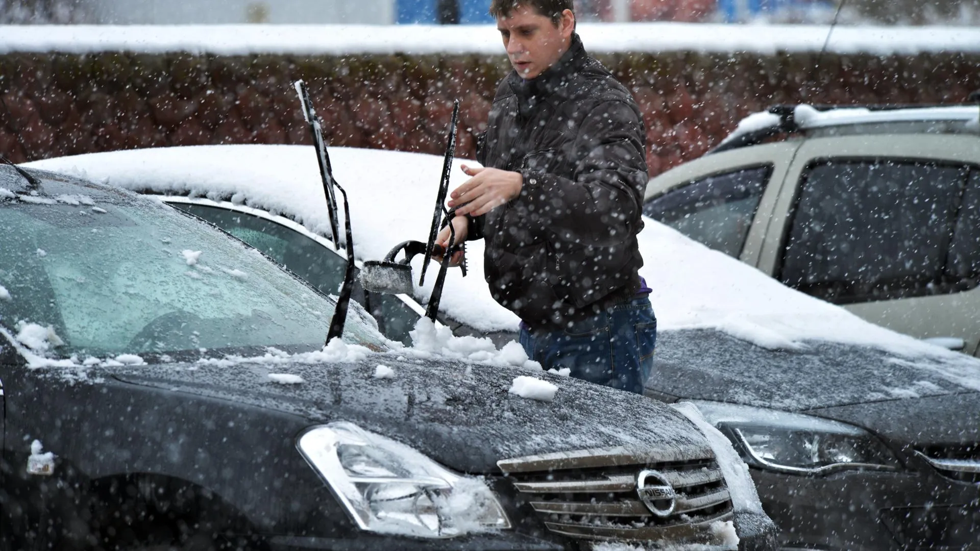 Автоюрист Воропаев рассказал, как в России покупают красивые автономера