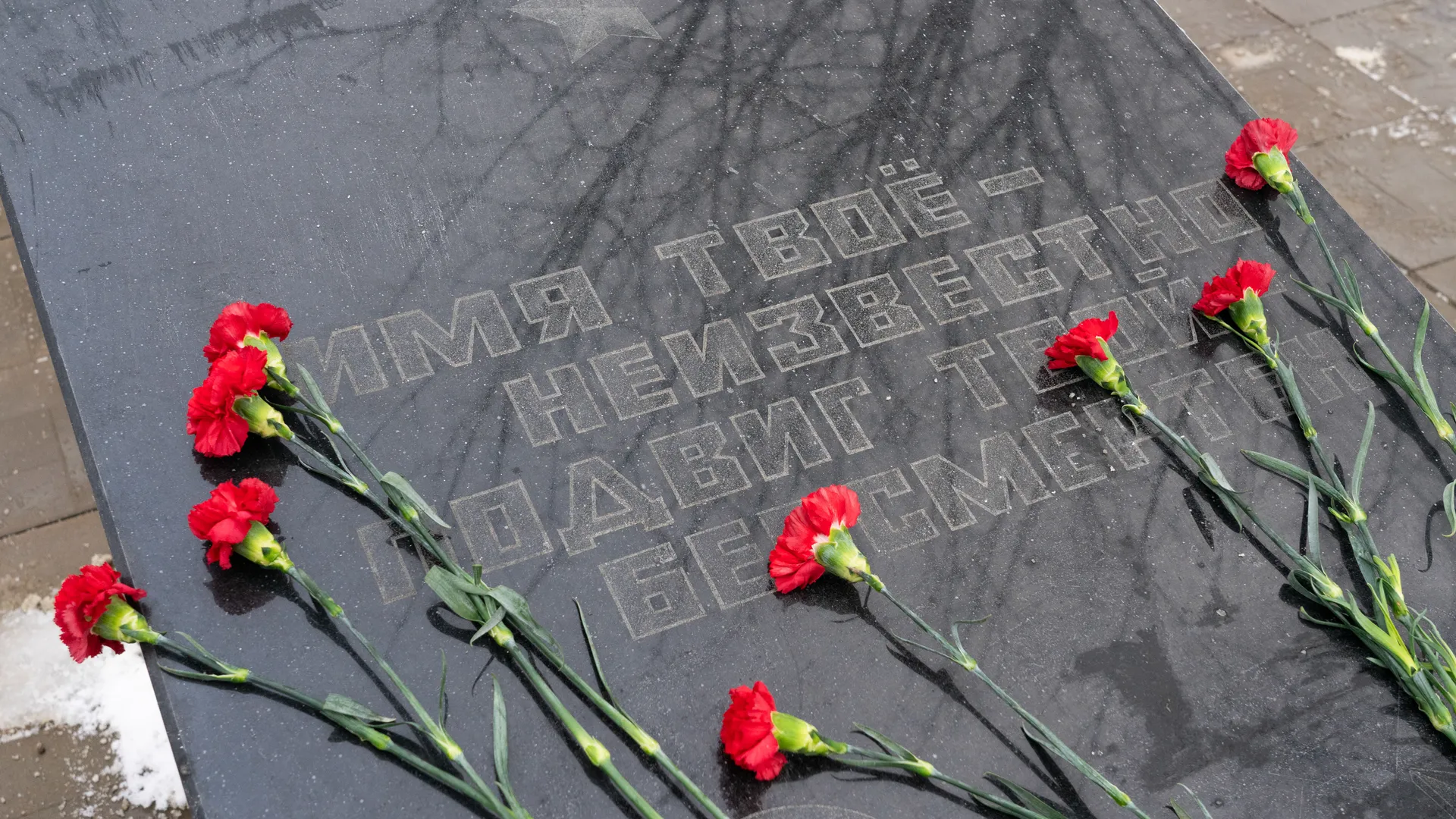 Политолог Соловейчик связал перенос «Бессмертного полка» с диверсиями Украины
