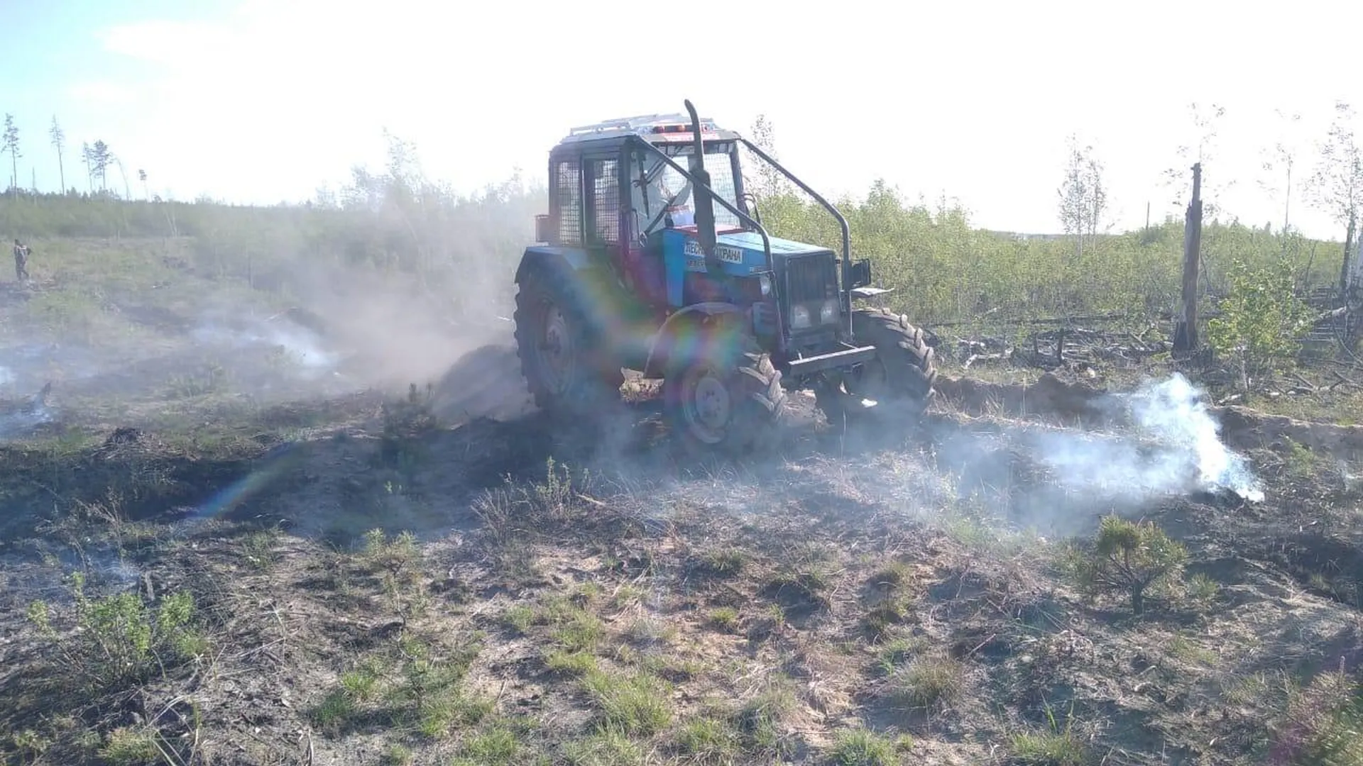 Лесной пожар ликвидировали в Луховицах