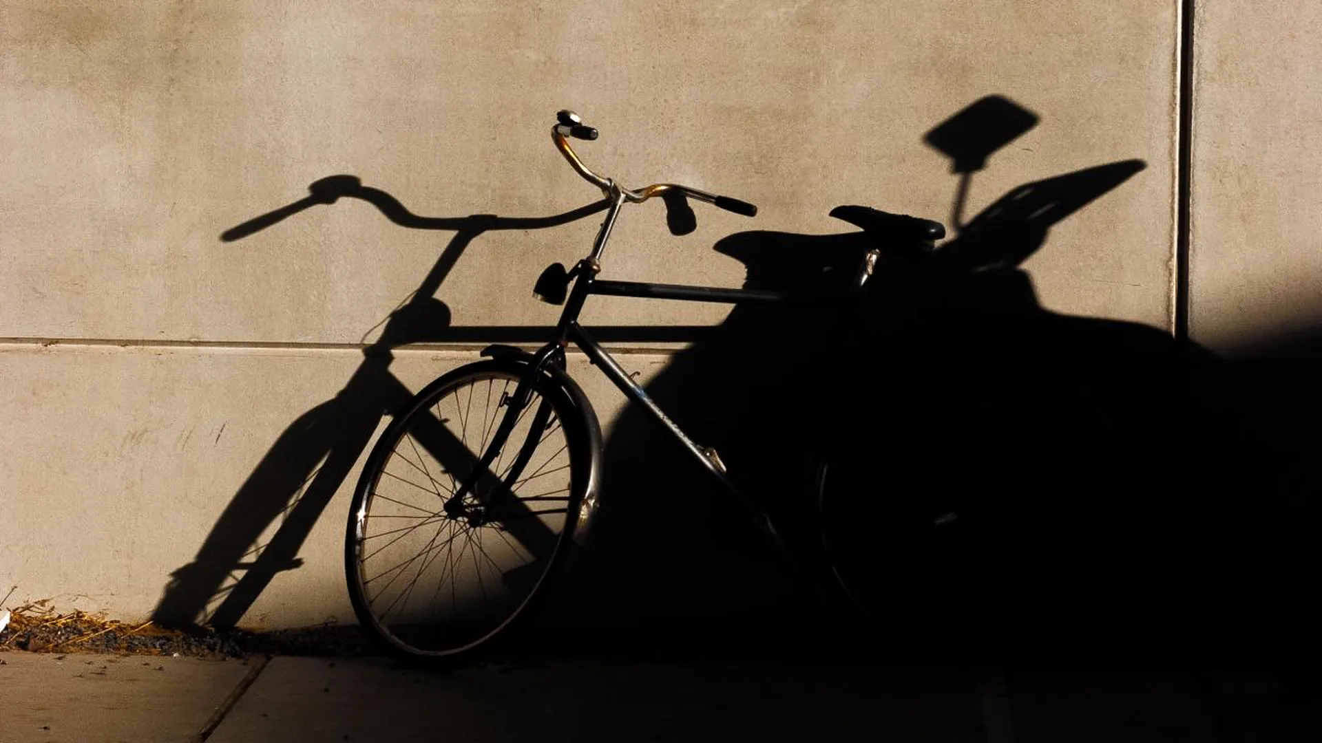 Экологический велосипедный заезд пройдет в Можайске