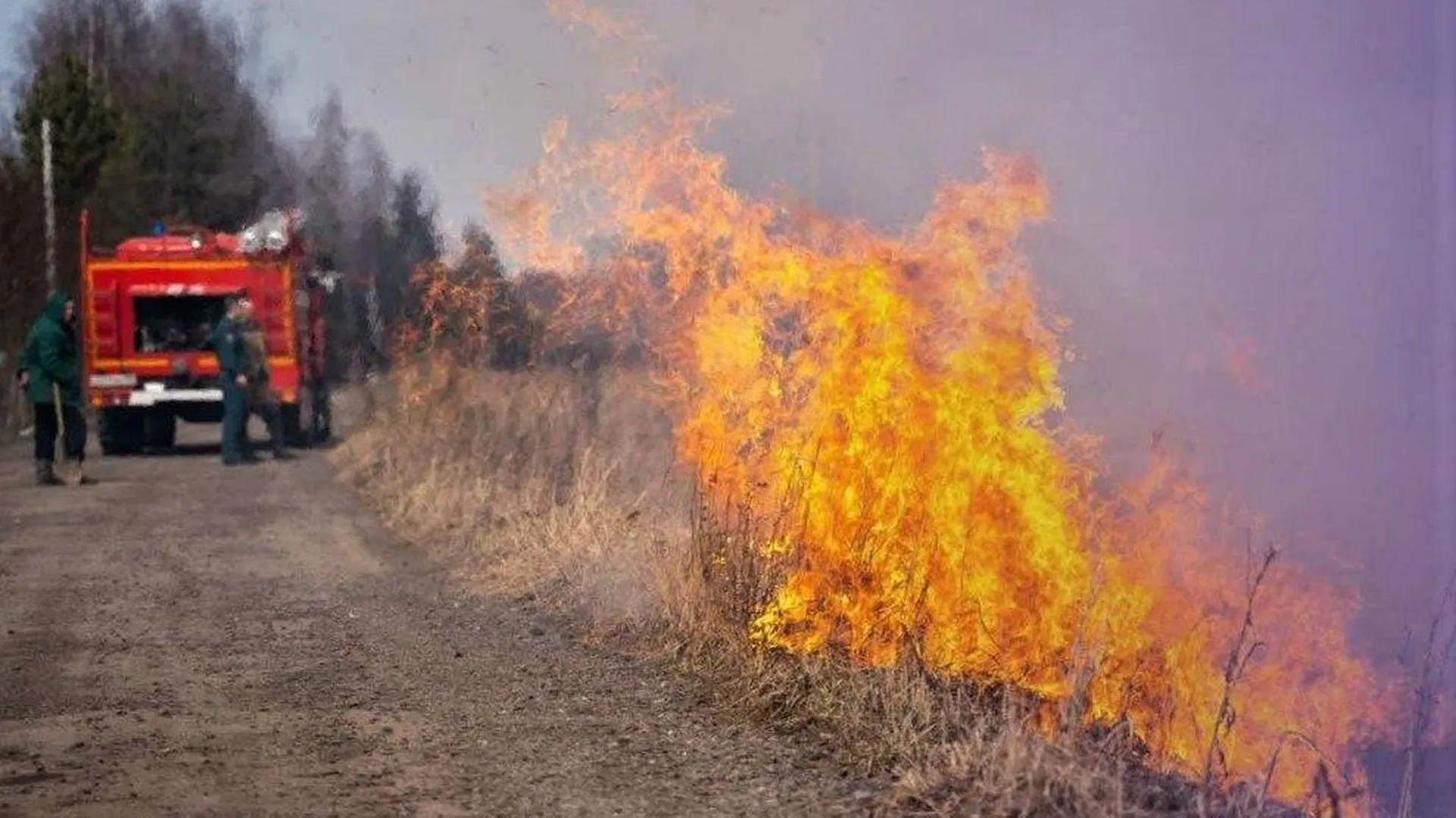 Комлесхоз Подмосковья напомнил о недопустимости нарушения правил пожарной безопасности
