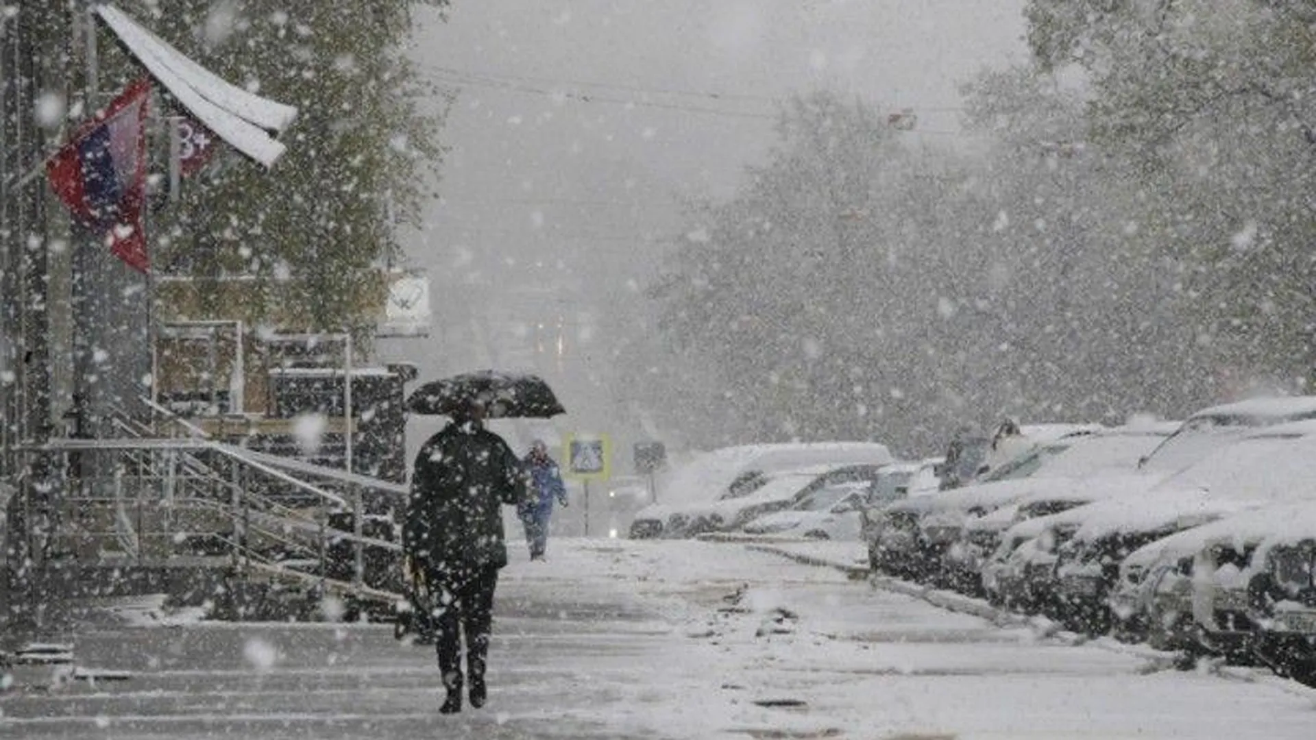 Балканский циклон принес в Московский регион сильный снегопад и ледяной дождь
