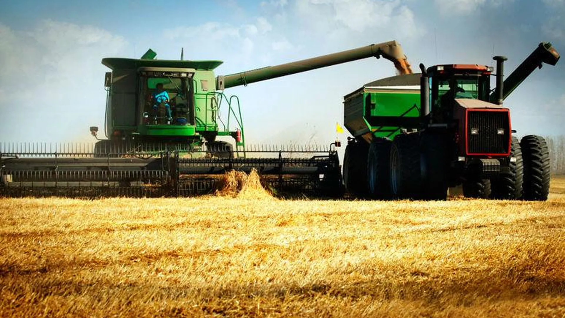 На 29,5% больше зерновых собрали в Солнечногорском районе в 2015 году