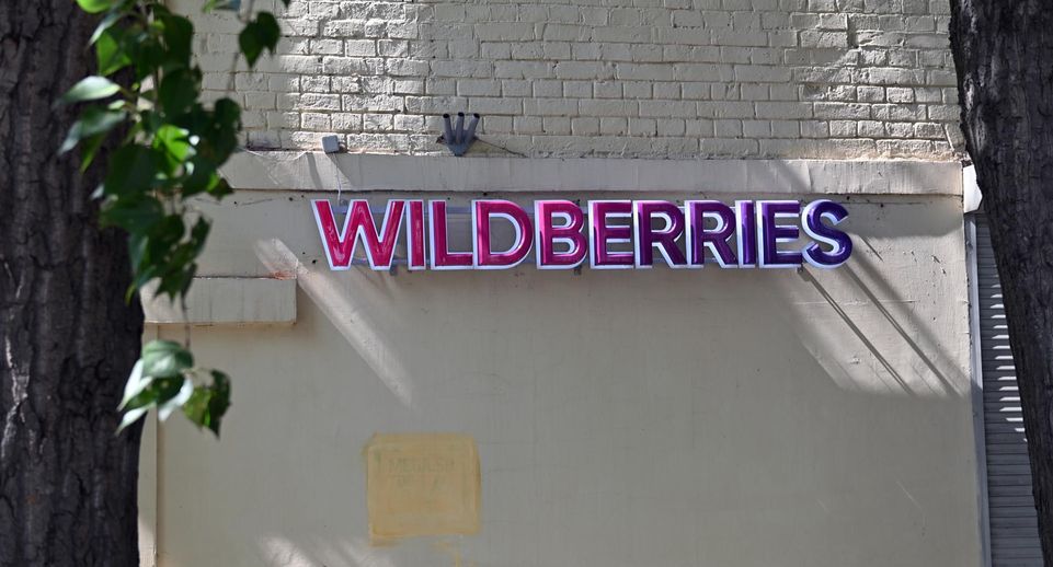 Глава Чечни Кадыров пообещал владельцам Wildberries защитить бизнес от рейдеров