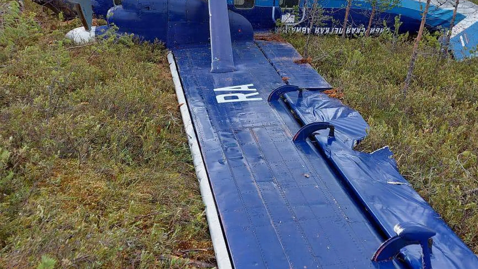 Стала известна предварительная причина аварийной посадки Ан-28 в Томской области