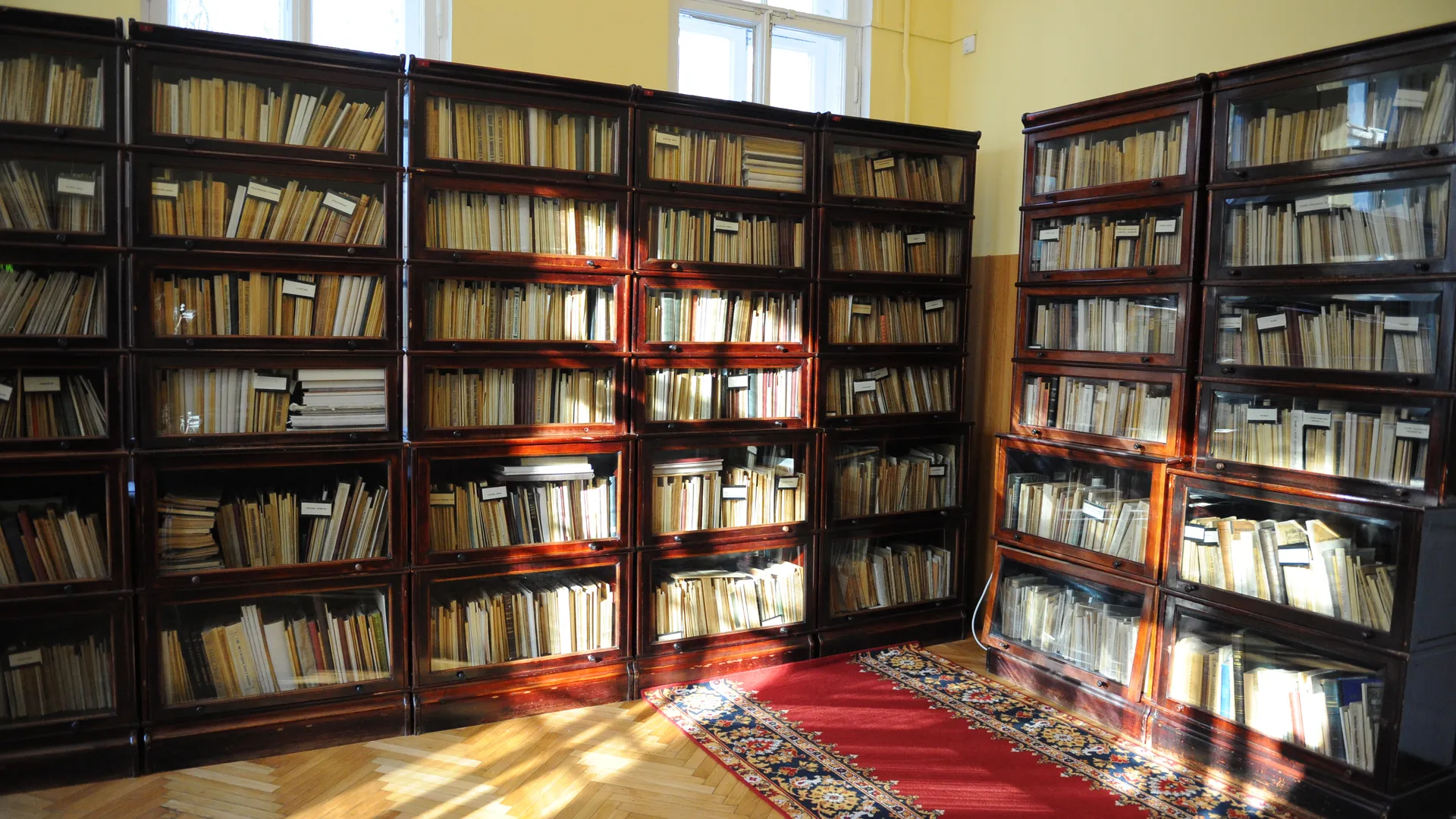 Издания русских классиков массово пропадают из библиотек по всей Европе