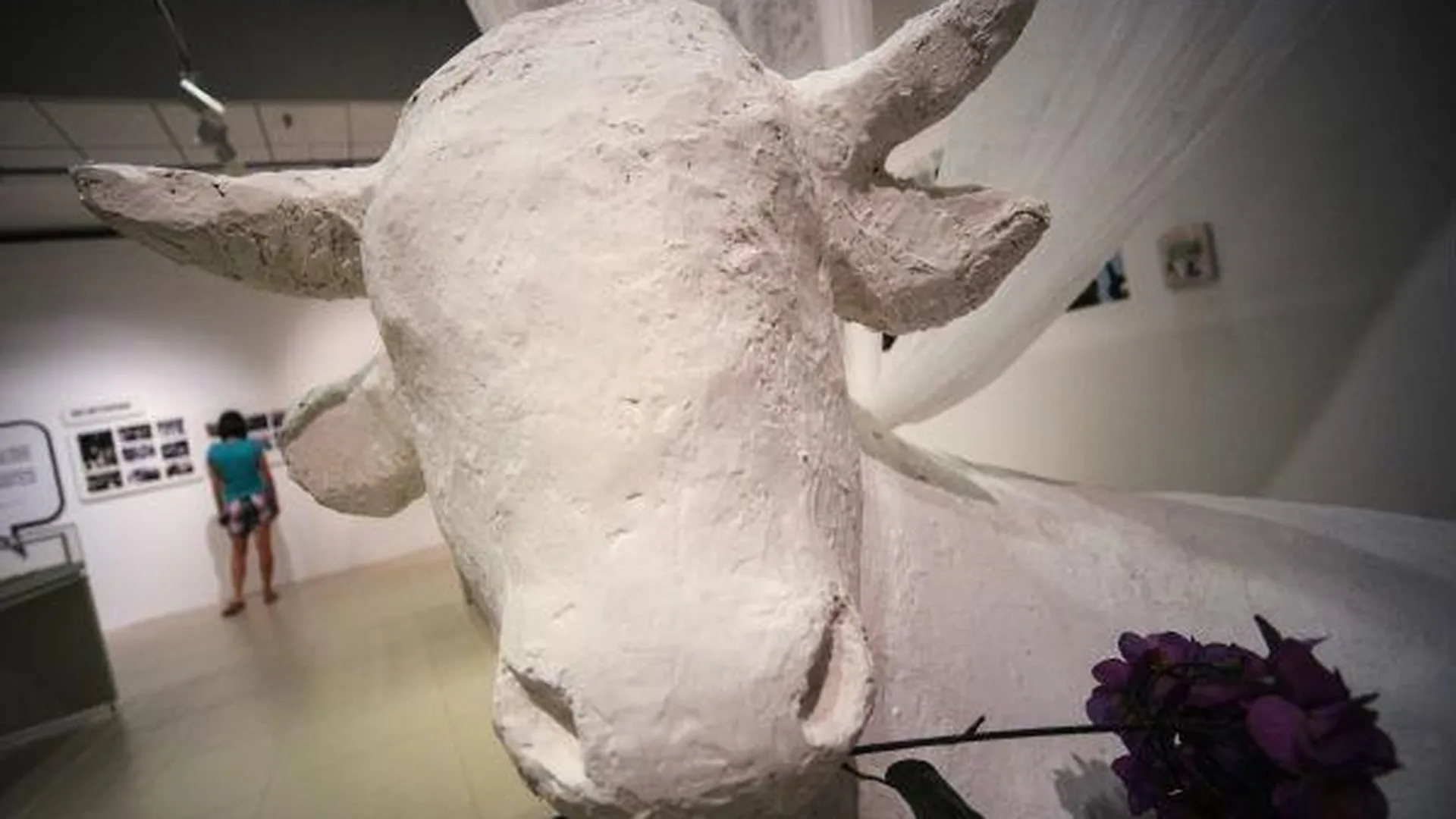 Во Фрязино можно будет увидеть керамических зверей
