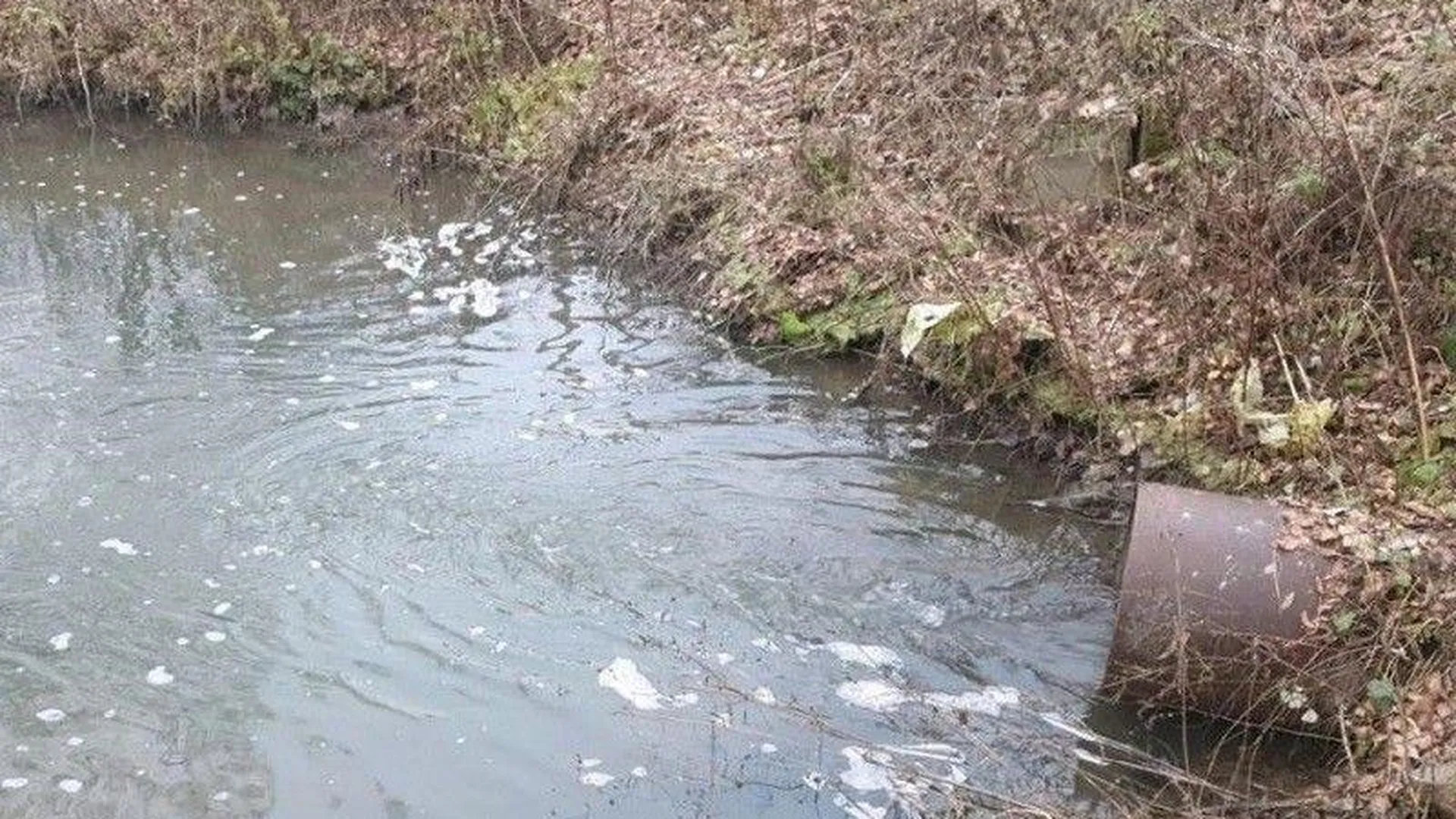 Минэкологии потребовало прекратить загрязнение реки в Зарайске