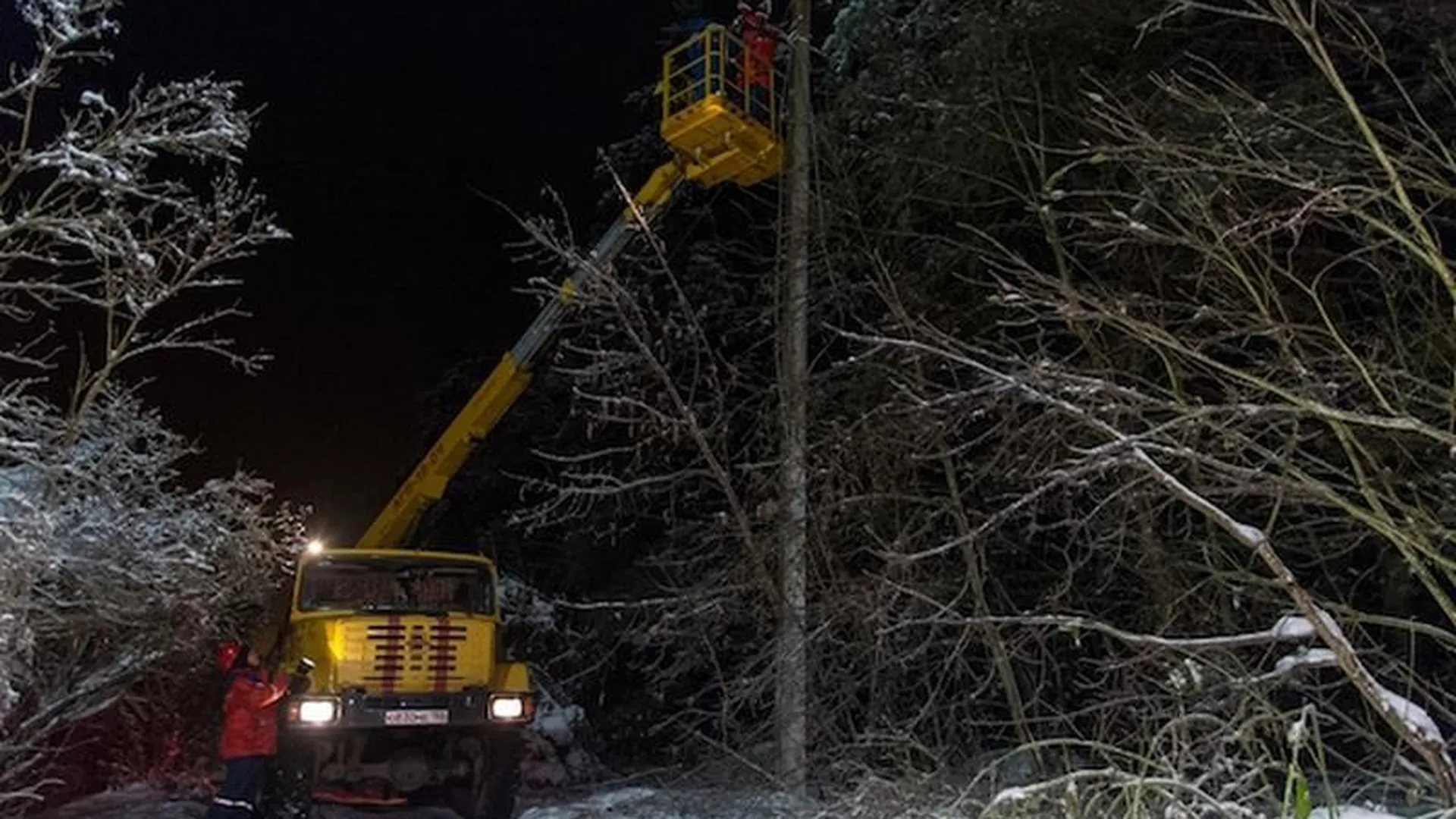 Двадцать тысяч обледенелых деревьев сняли с ЛЭП в Подмосковье