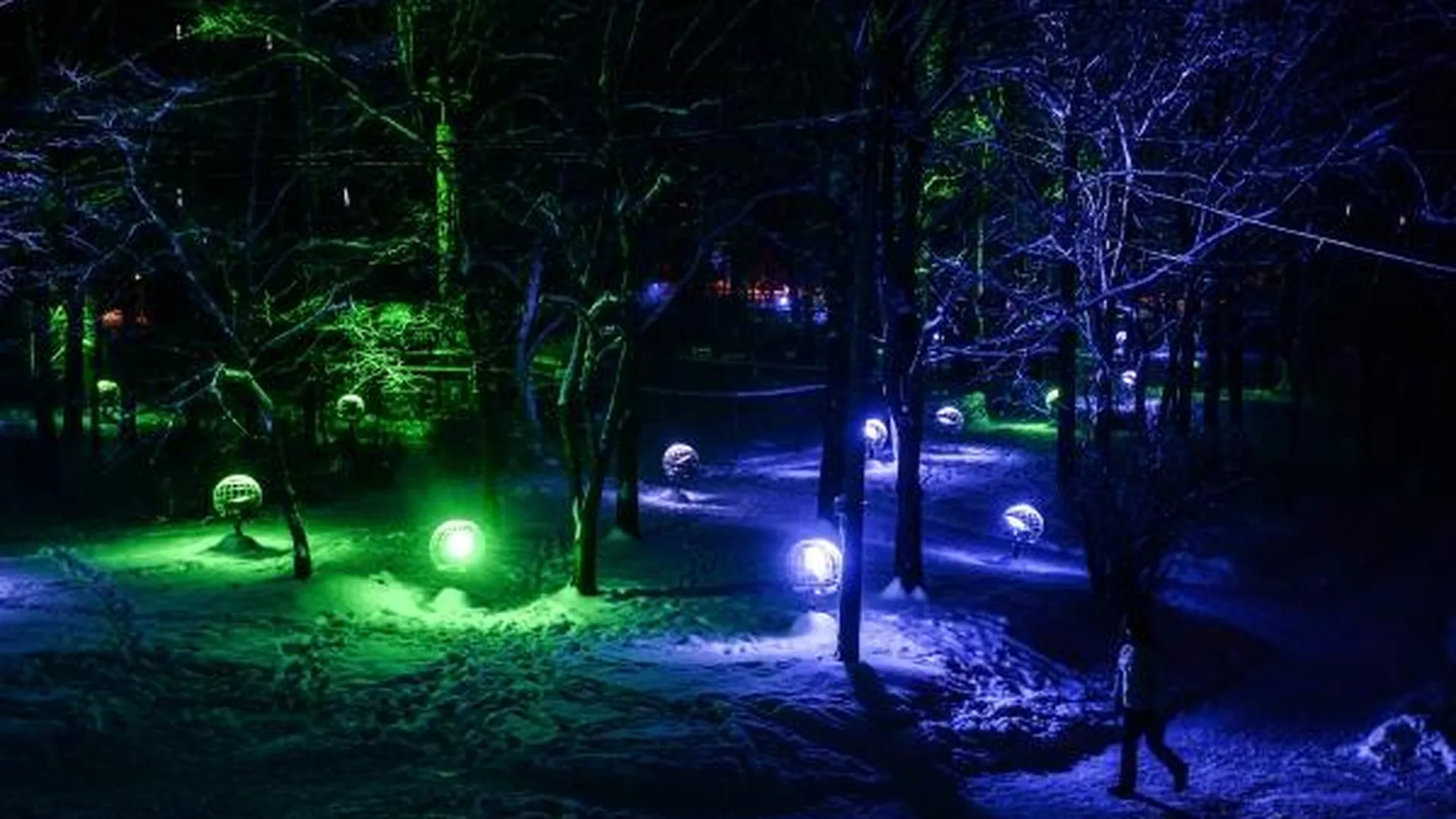 В парках Подмосковья 1 декабря включат новогоднюю подсветку