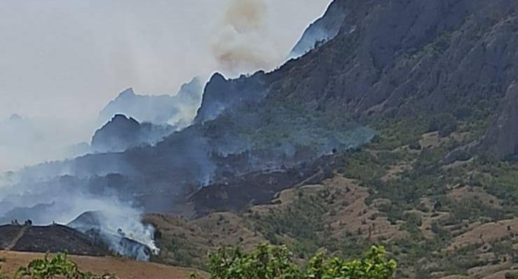 Пожар вспыхнул в Карадагском природном заповеднике в Крыму