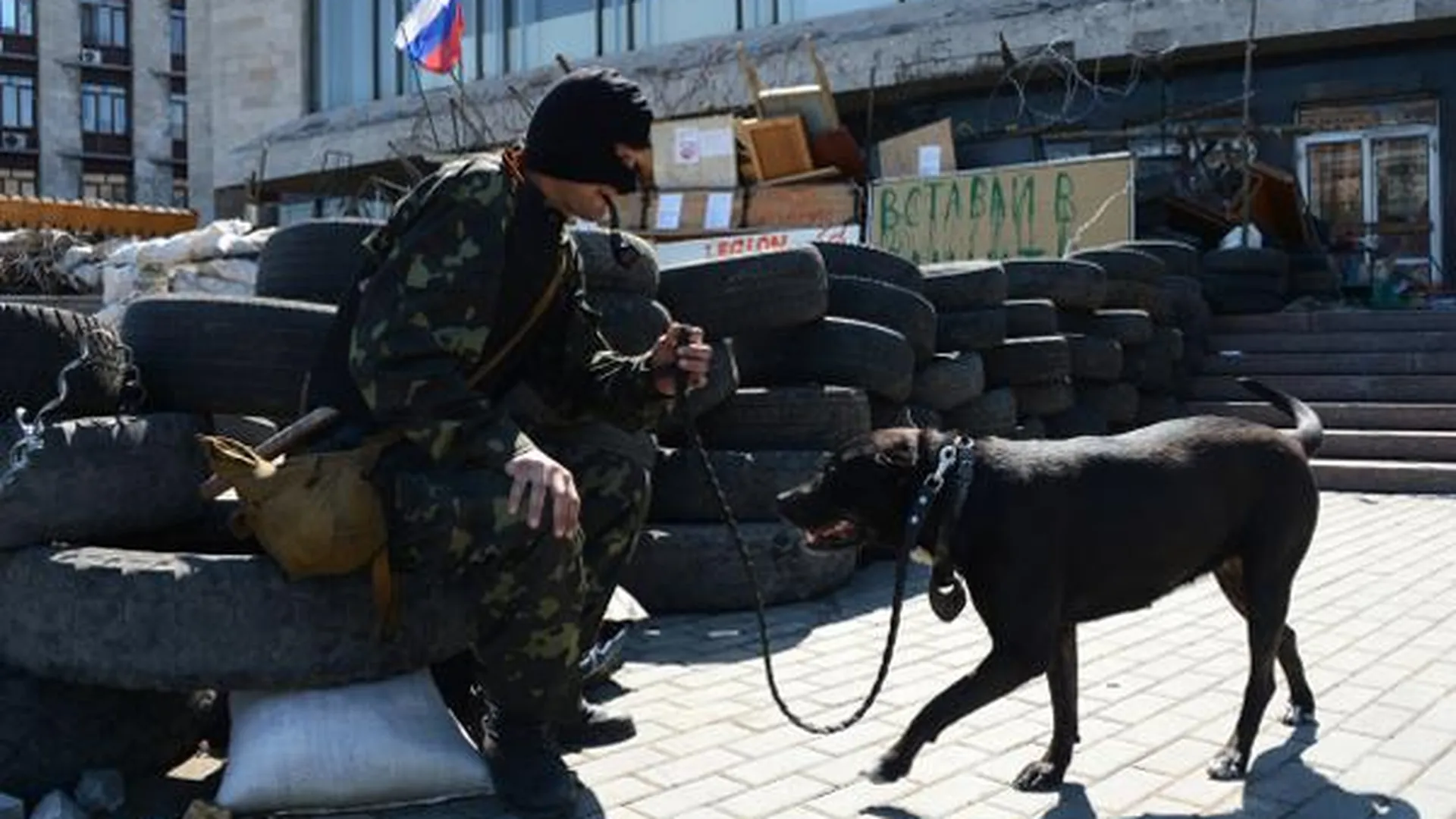 Как Подмосковье приютило домашних животных с Украины