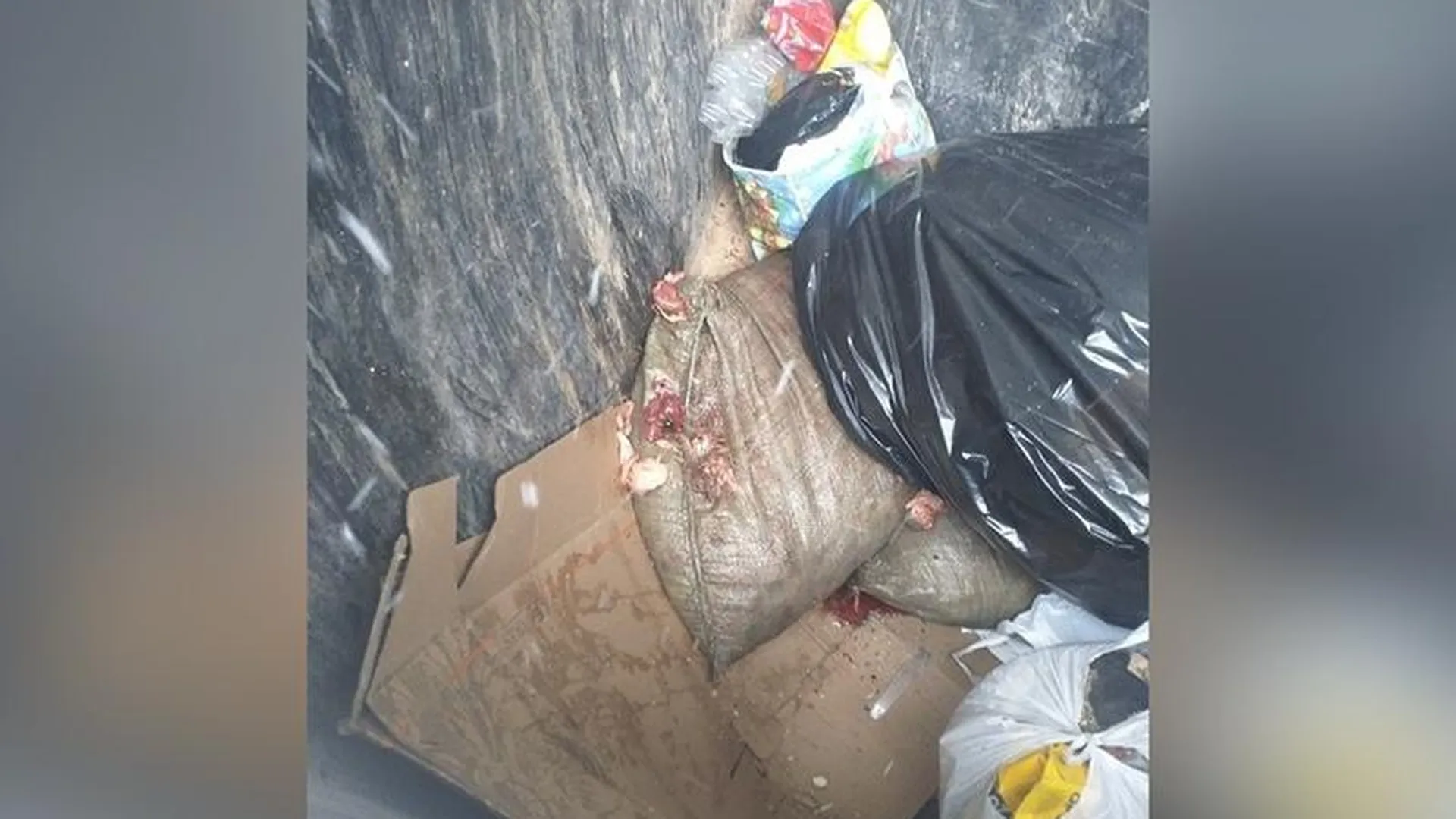 Мешки с мясом нашел в мусорке у морга житель Сергиева Посада
