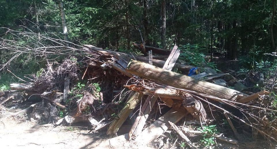 Свалку на лесной дороге ликвидировали под Егорьевском