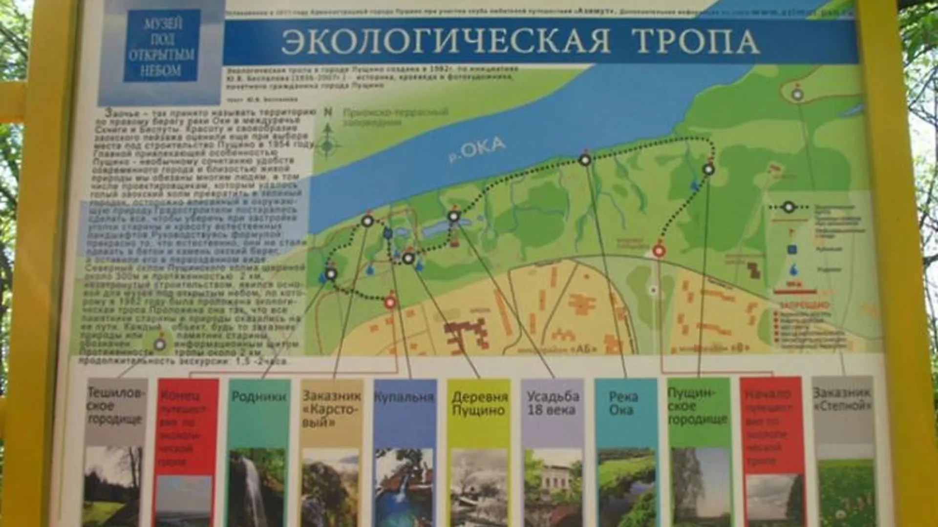 Пущинская экотропа вошла в пятерку лучших пешеходных маршрутов Московской области