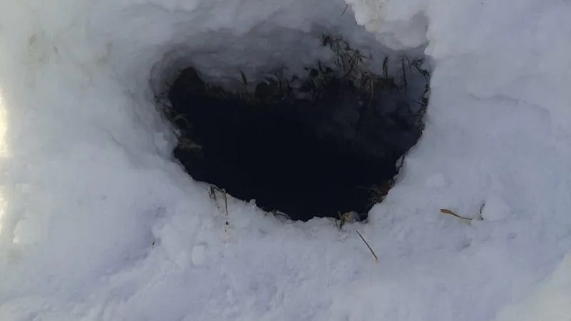 Жительница Электрогорска чуть не лишилась домашнего питомца из-за глубокой ямы в снегу