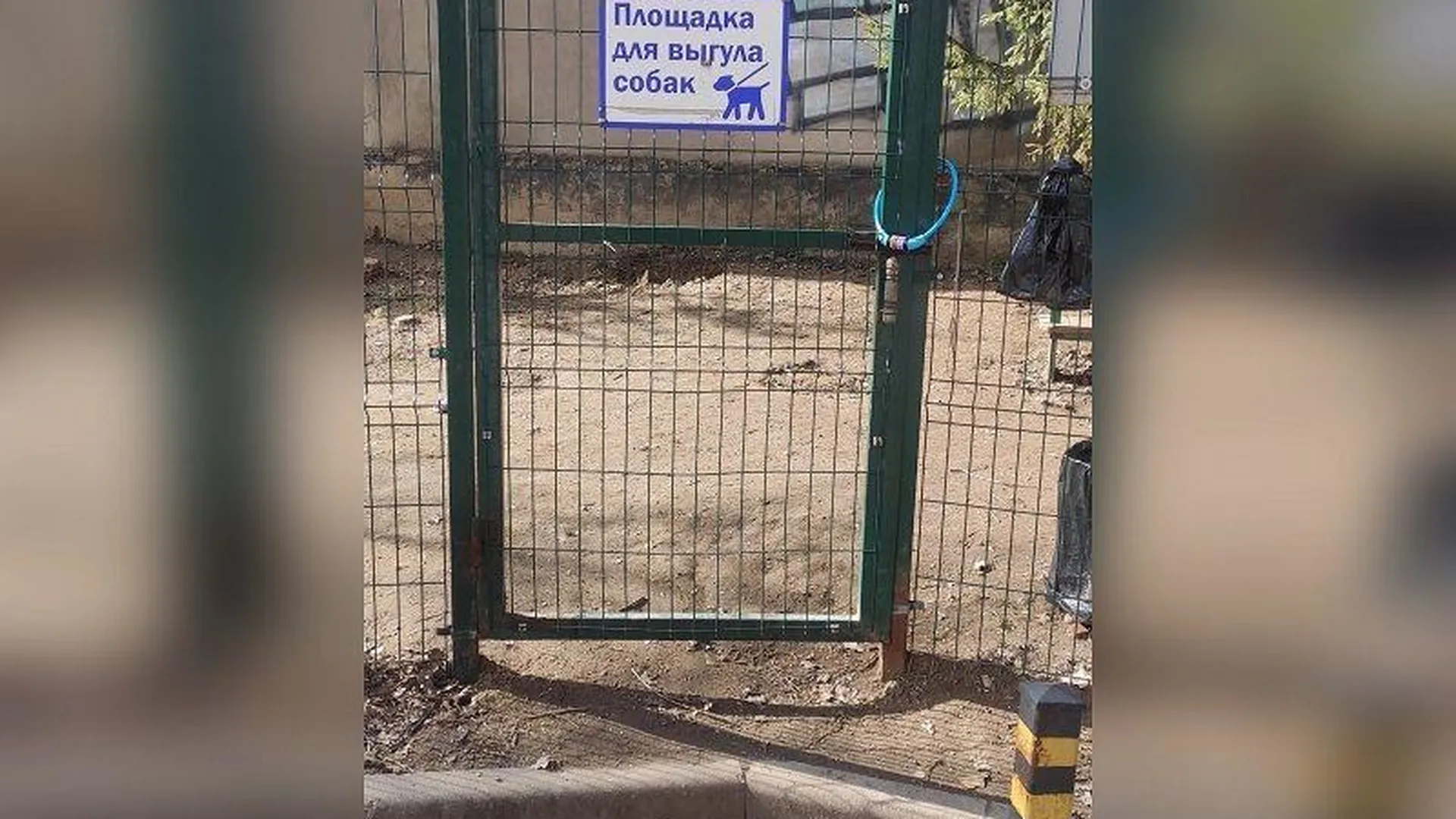 Под замком: жители Краснознаменска захватили площадку для выгула собак