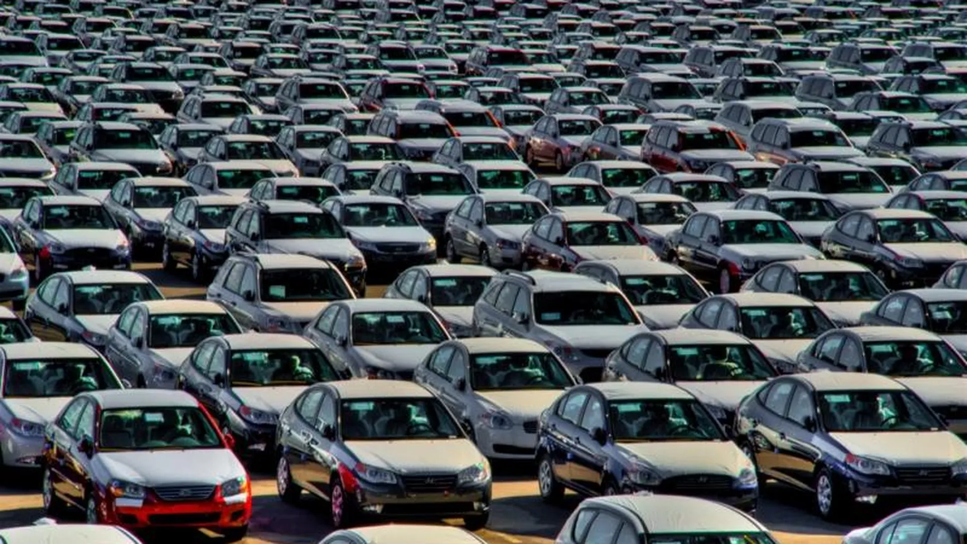 Продажи новых легковых машин в Московской области выросли на 20,8%