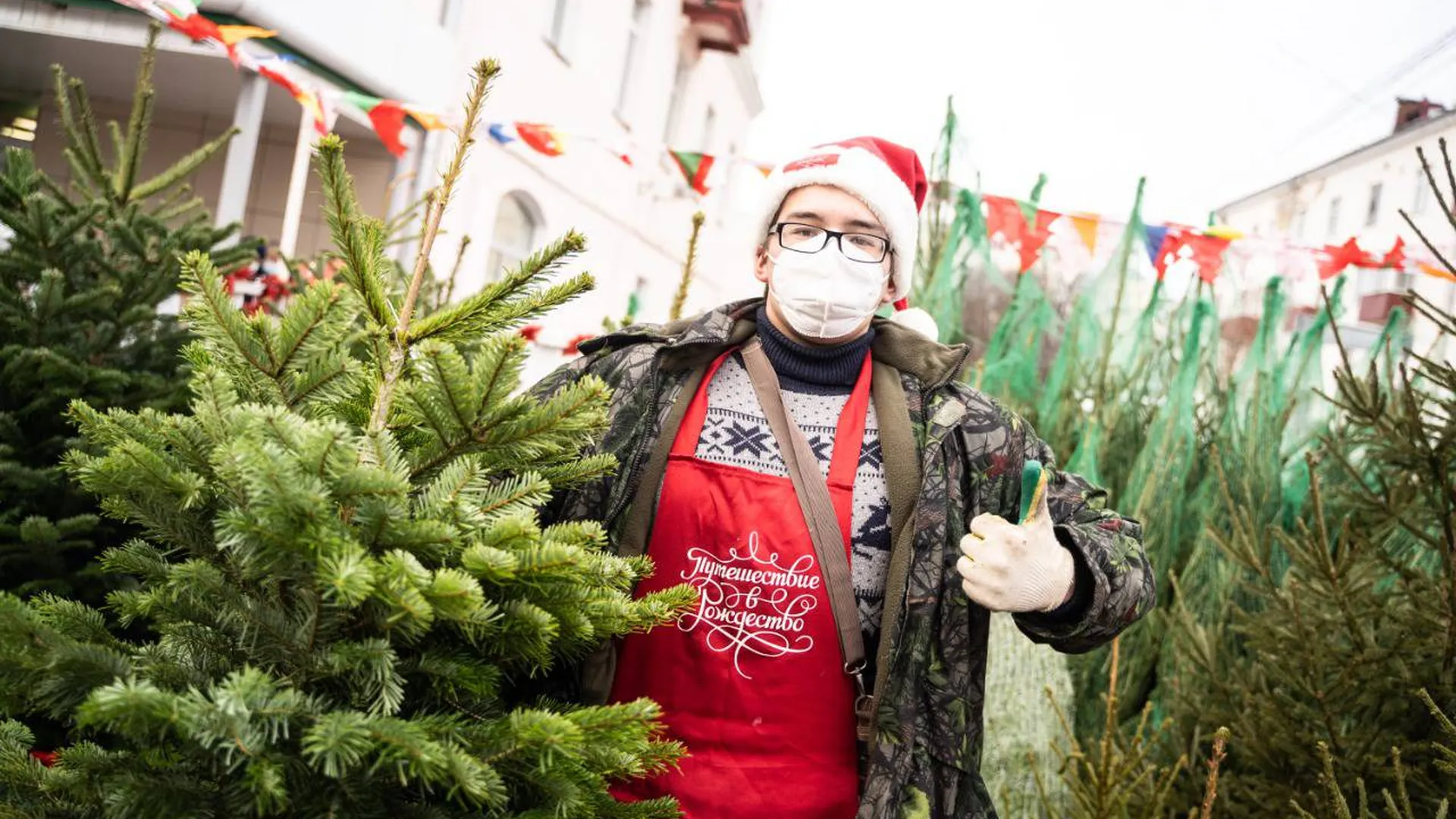 Четыре елочных базара с новогодними подарками открыли в Солнечногорске