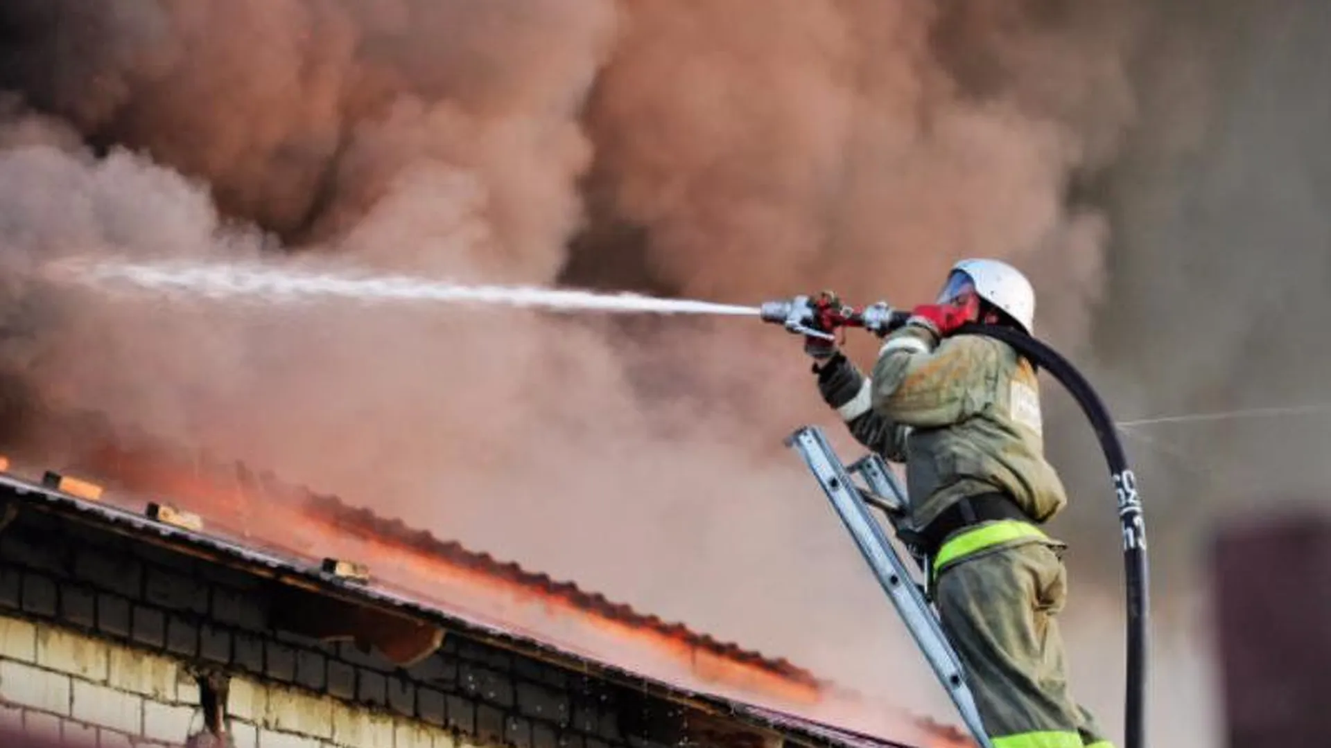 Пожар, начавшийся в ночь на вторник, возобновился в Лосино-Петровском
