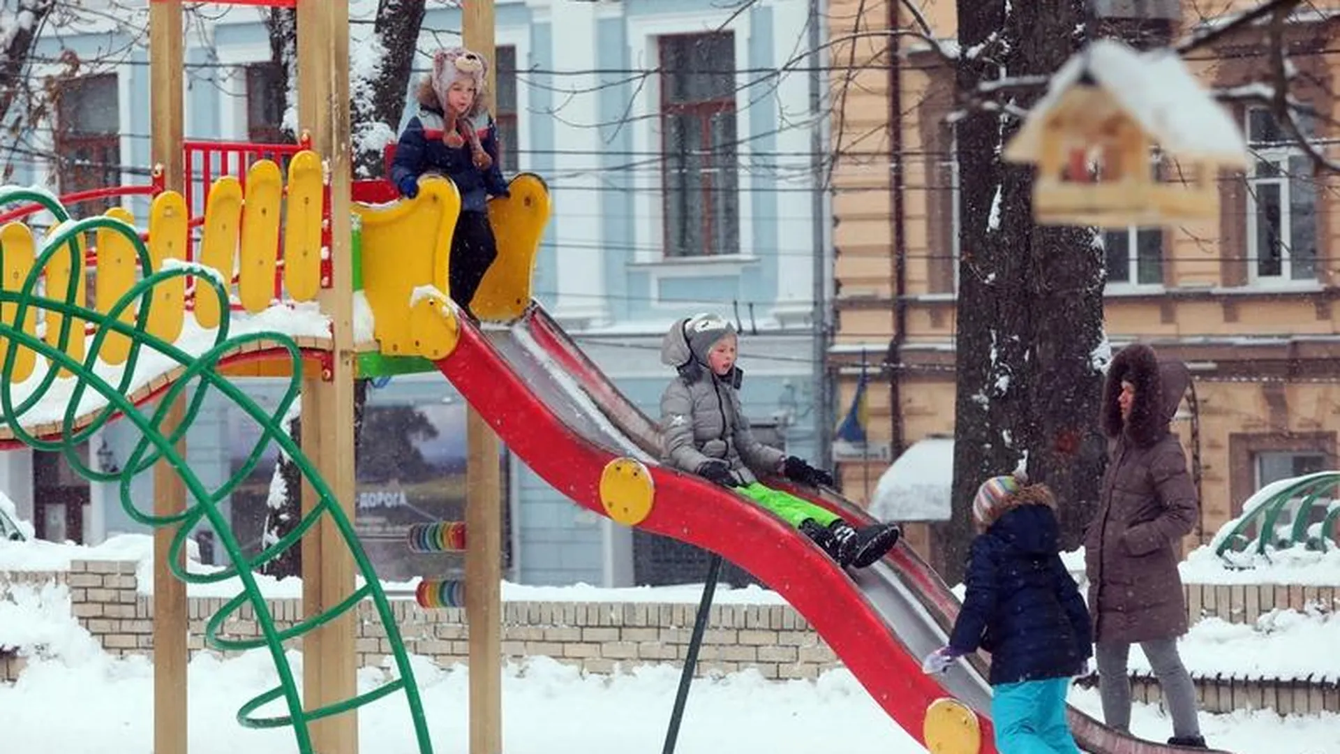 В Балашихе и Егорьевске из переработанных елок сделают детские площадки