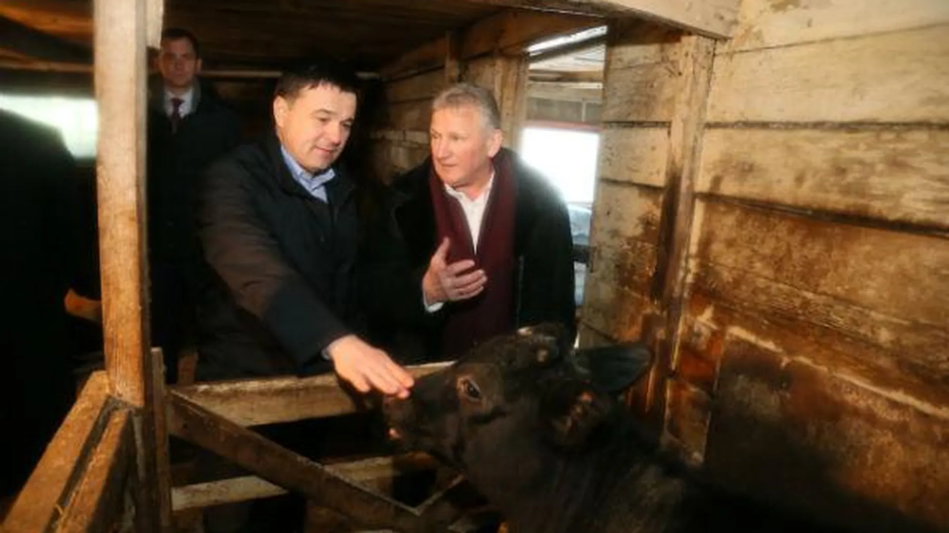 Губернатор посетил семейную ферму в Мытищинском районе