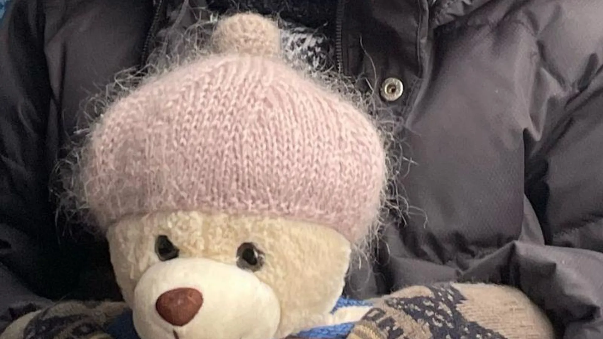 Медведь из Дзержинского нашел забытую в автобусе шапку благодаря соцсетям