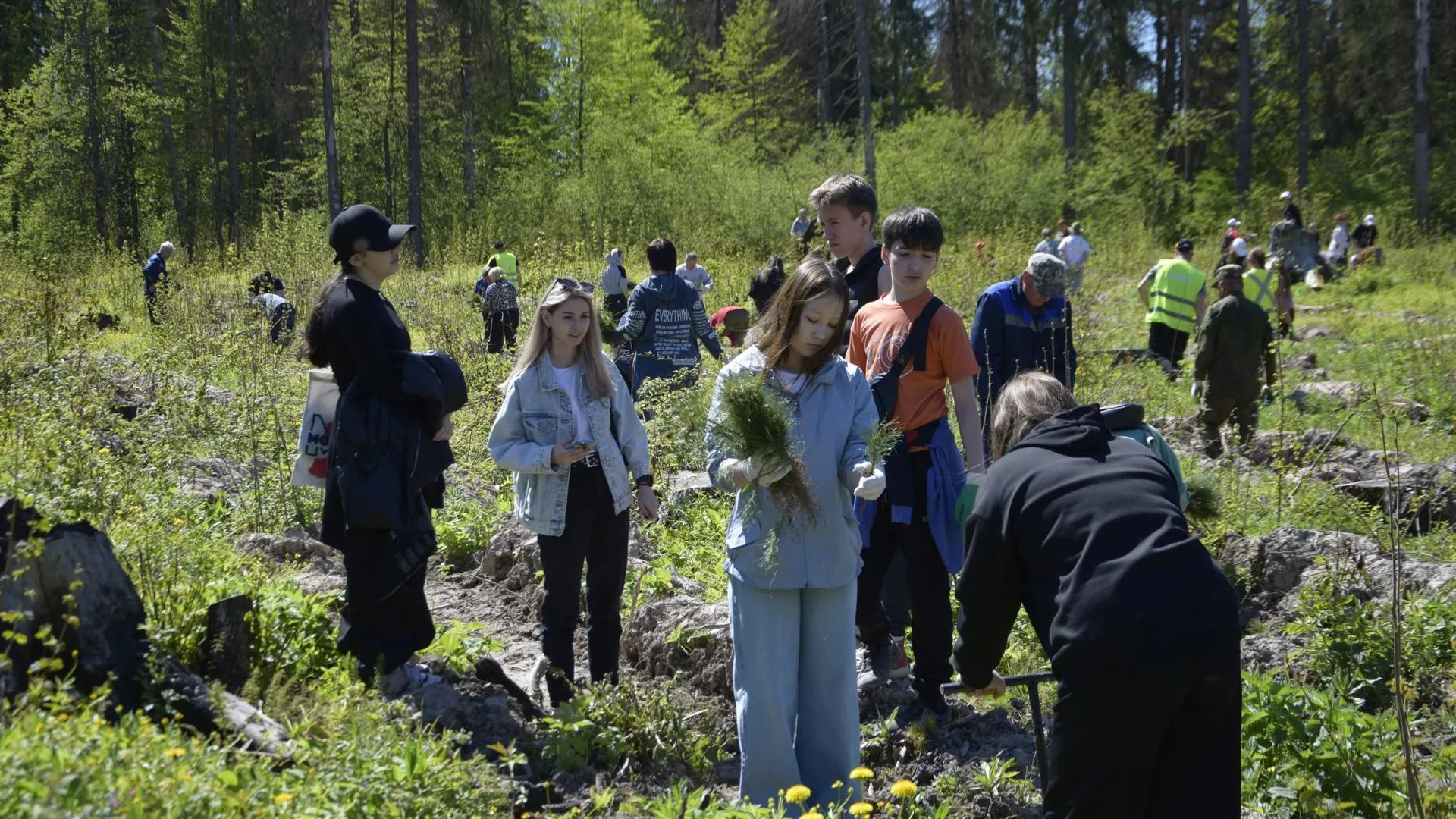 В рамках областной акции «Лес будущего» в Наро-Фоминском округе в память о погибших в годы ВОВ высадили саженцы