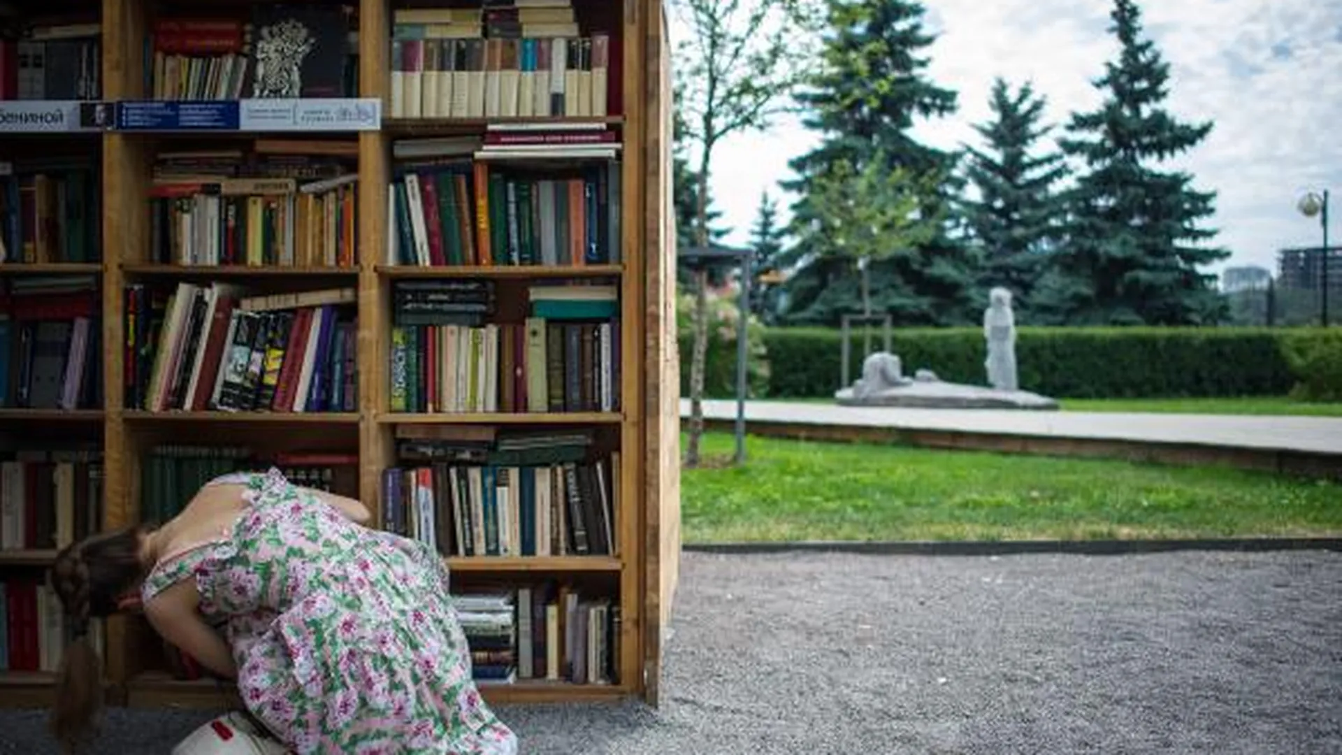 Читальные залы на открытом воздухе появятся в Подмосковье