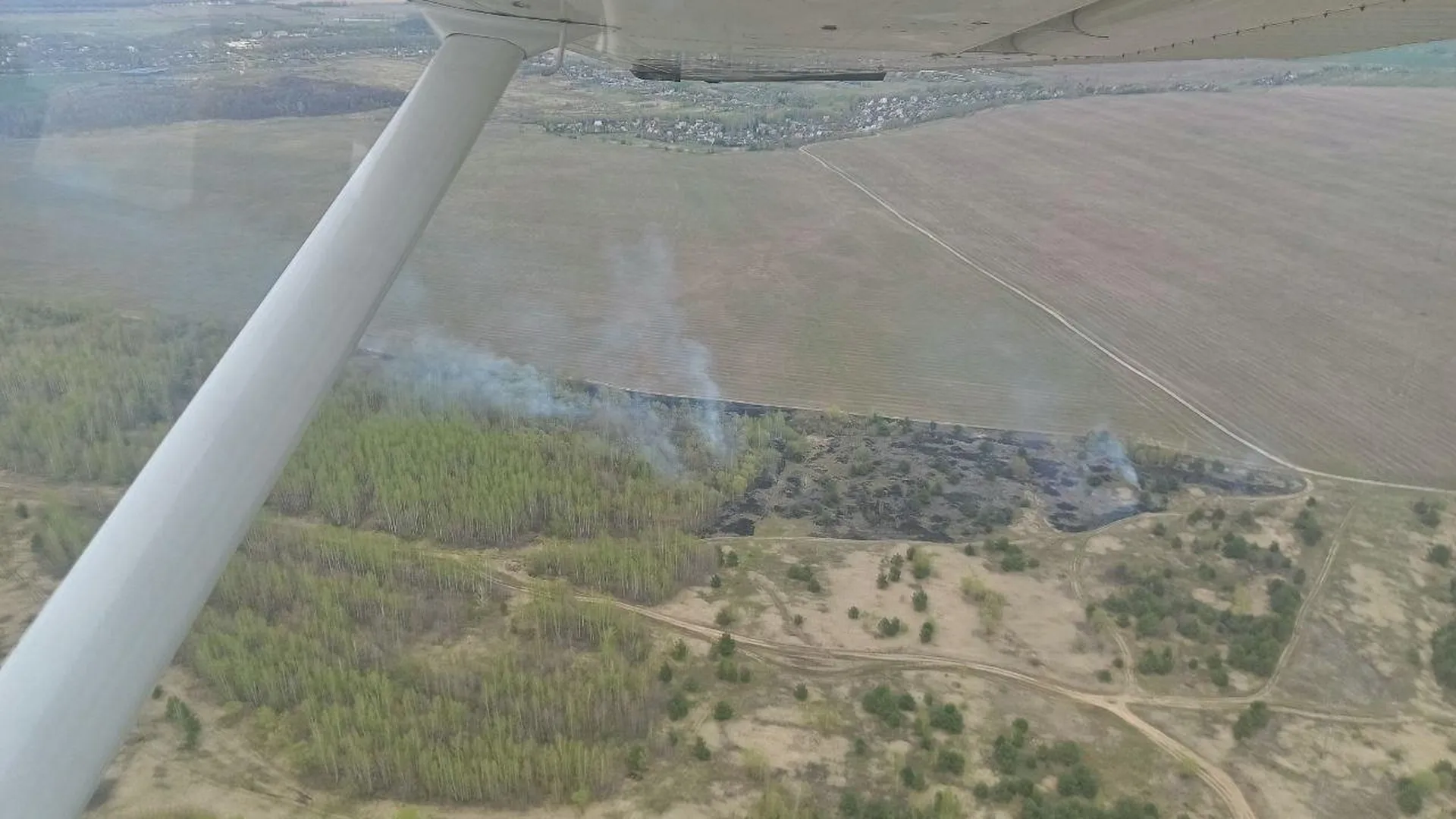 Два пожара потушили в лесах Подмосковья 25 апреля