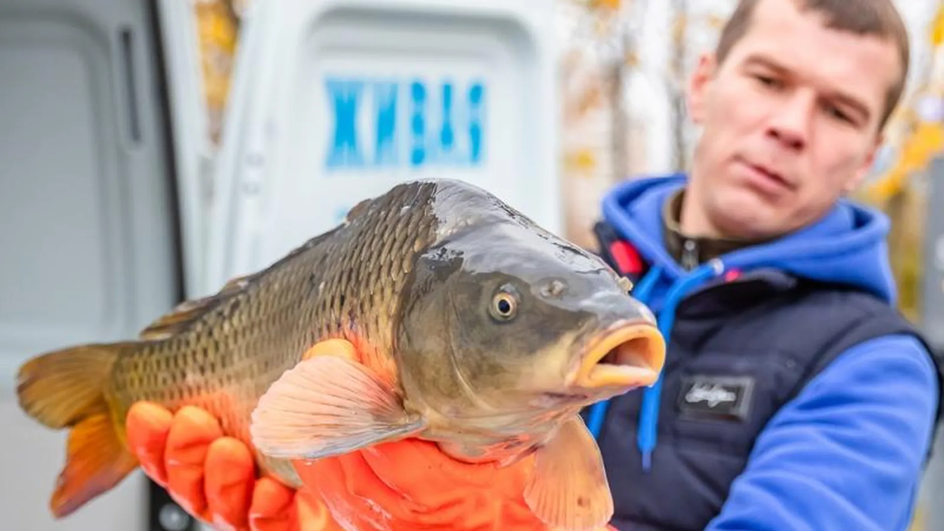 Семь тысяч человек посетили «Рыбный фестиваль» в Одинцове
