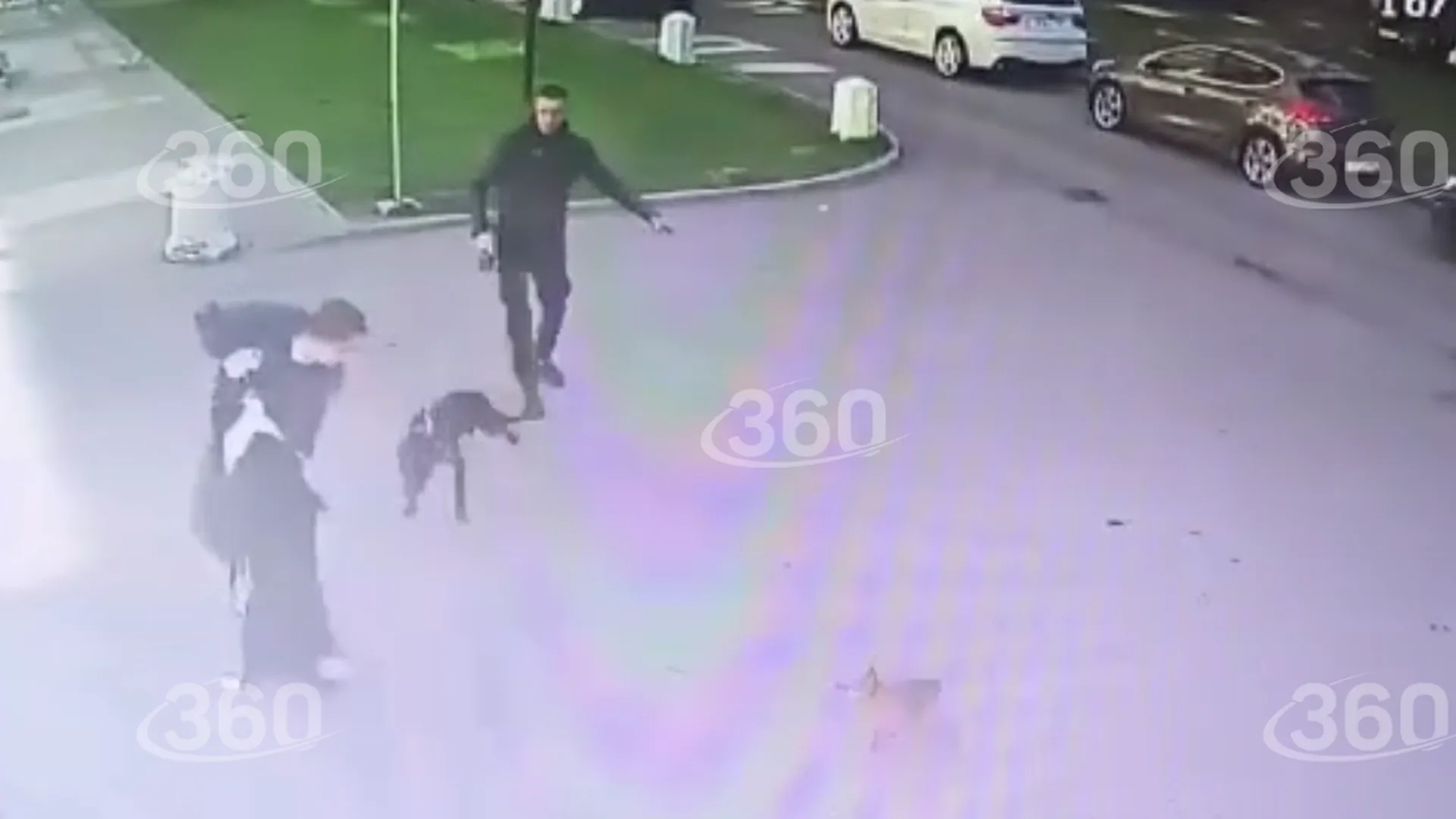 Появились видео с нападением питбуля на прохожих в Петербурге. Хозяин натравливал пса