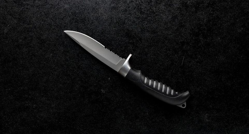 В Ленобласти задержали дебошира, угрожавшего ножом детям в СНТ
