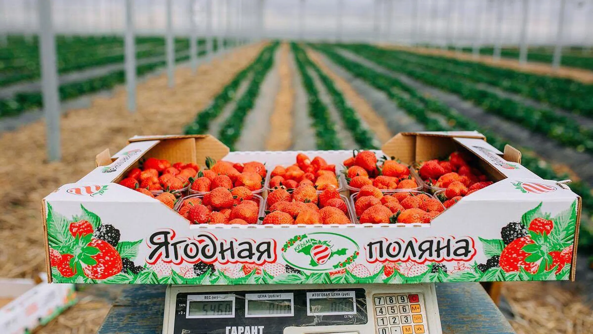 Пресс-служба министерства сельского хозяйства и продовольствия Московской области