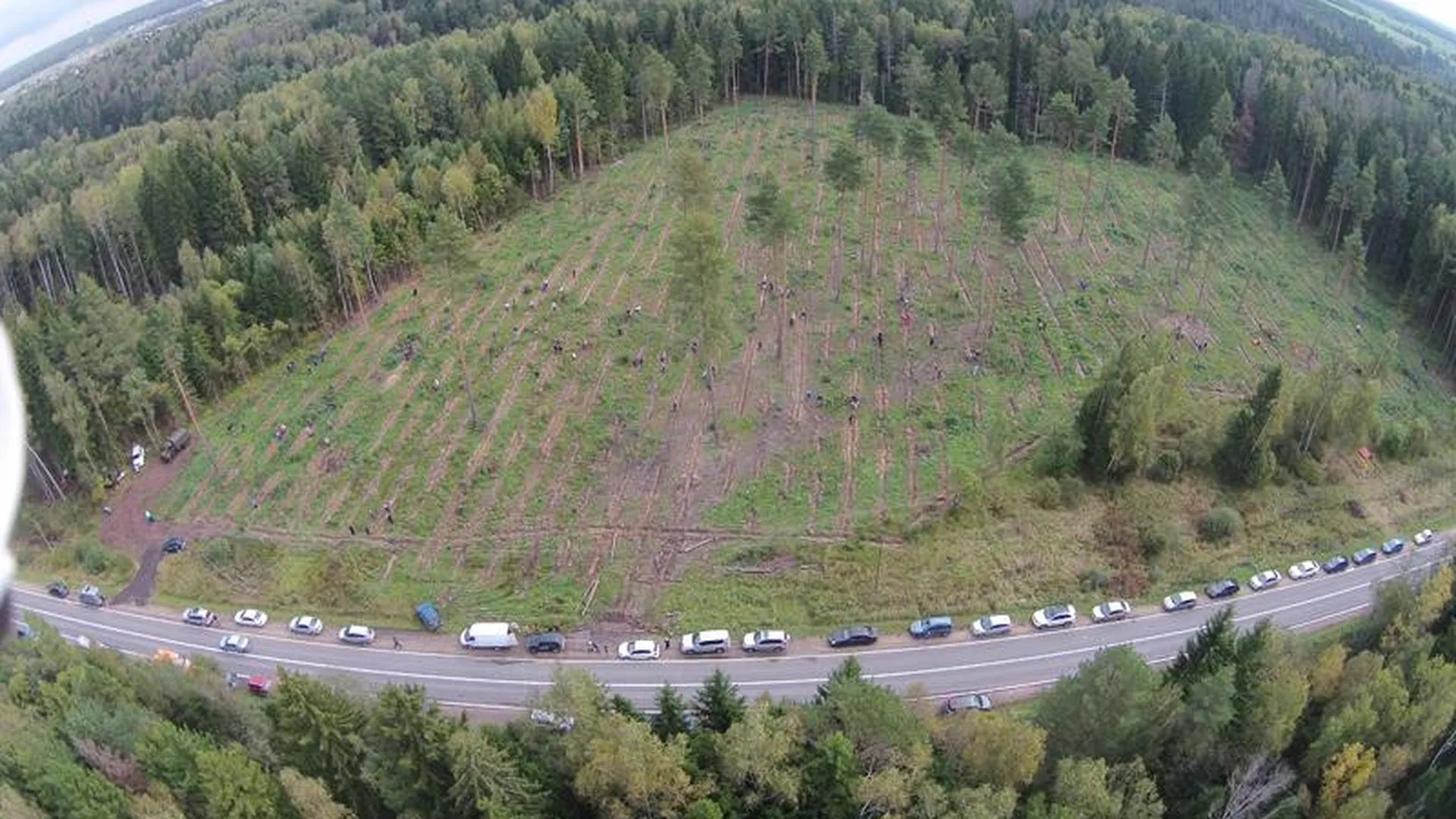 В акции «Наш лес» в Чеховском районе приняли участи две тысячи человек