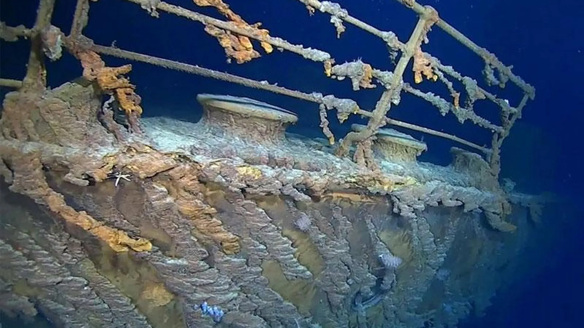 Ученые: «Титаник» начал сливаться с природой