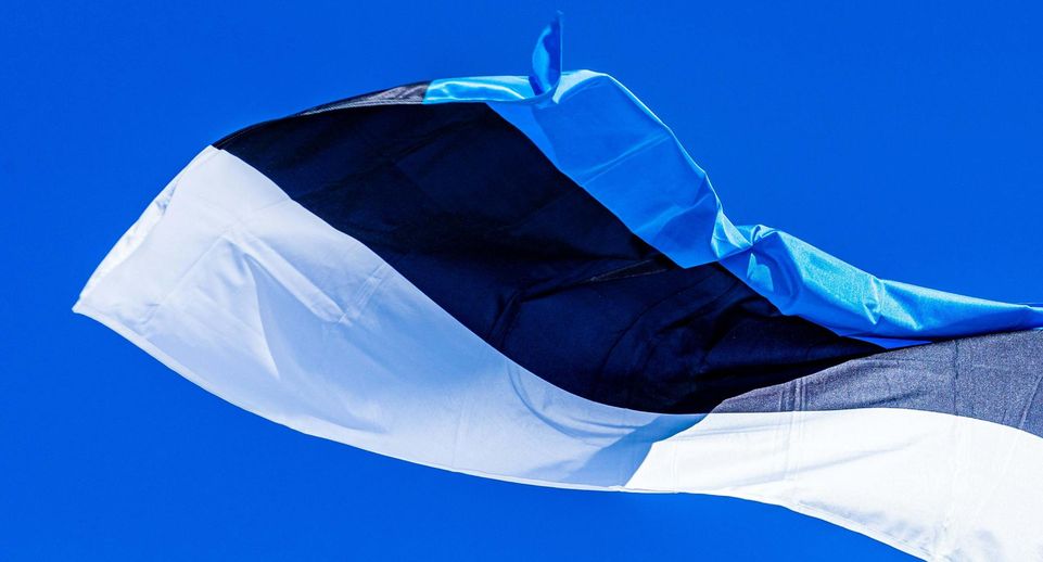 МИД Эстонии 24 мая вызовет временного поверенного в делах России