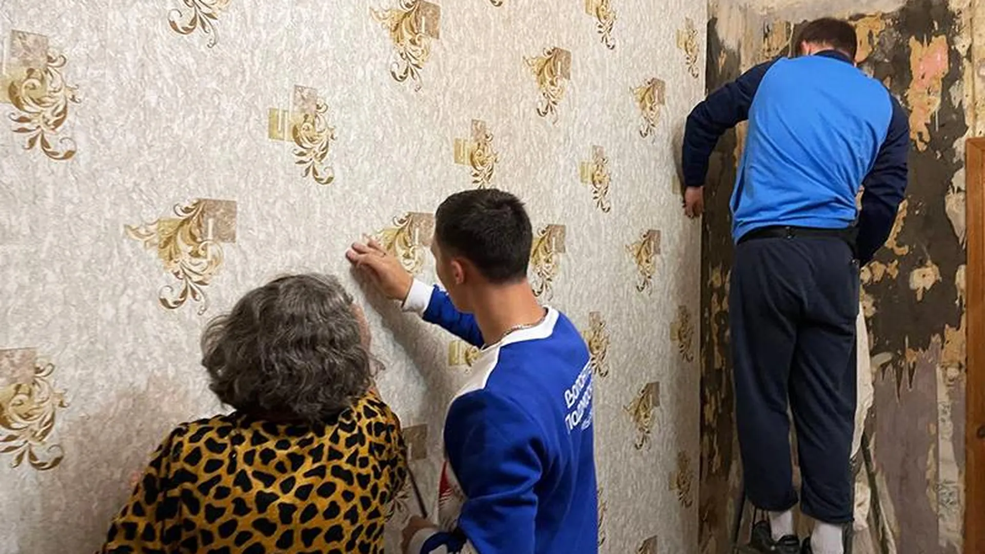 Волонтеры Подмосковья помогают бабушке, у которой мобилизовали внука, доделать ремонт в квартире