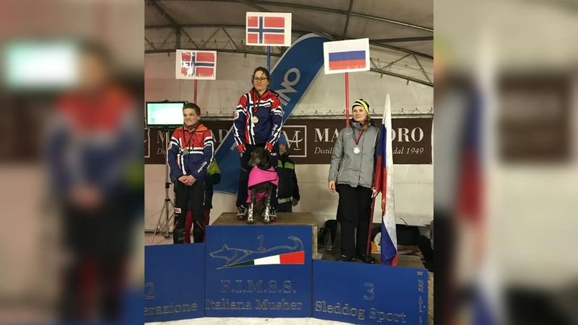 Первую в истории России международную награду в ездовом спорте взяла спортсменка из МО