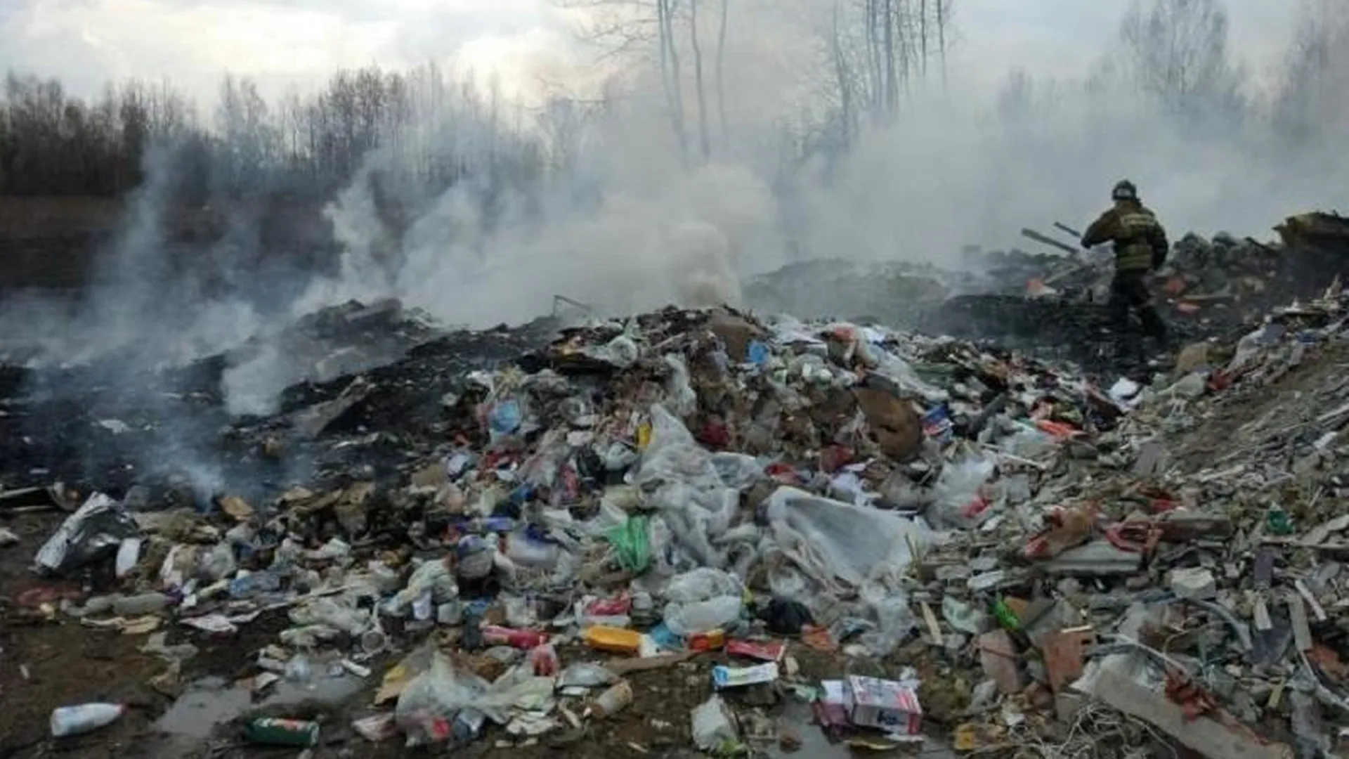 Организаторов незаконной свалки и сжигания мусора ищут в Электроуглях