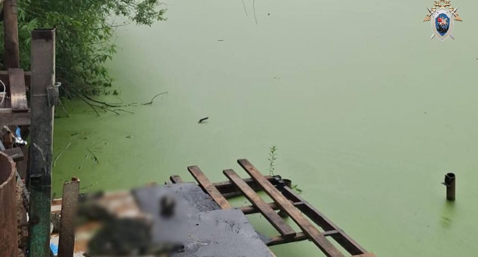 Разложившиеся останки человека нашли в водоеме в Новой Москве