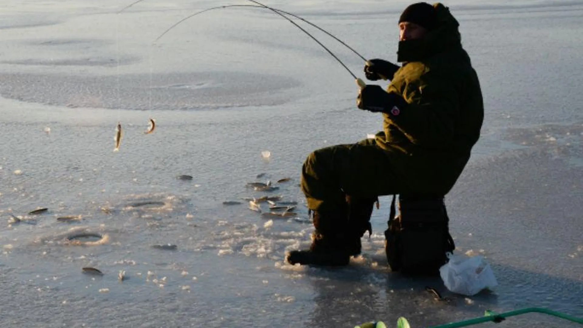 Сезонный запрет на вылов рыбы в Подмосковье вступает в силу 22 марта