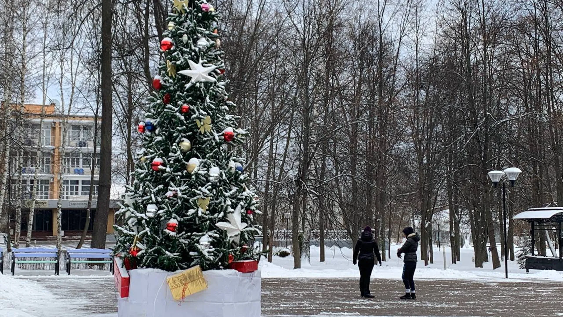 Сказочные пейзажи и активные развлечения: где провести зимние выходные под Серпуховом