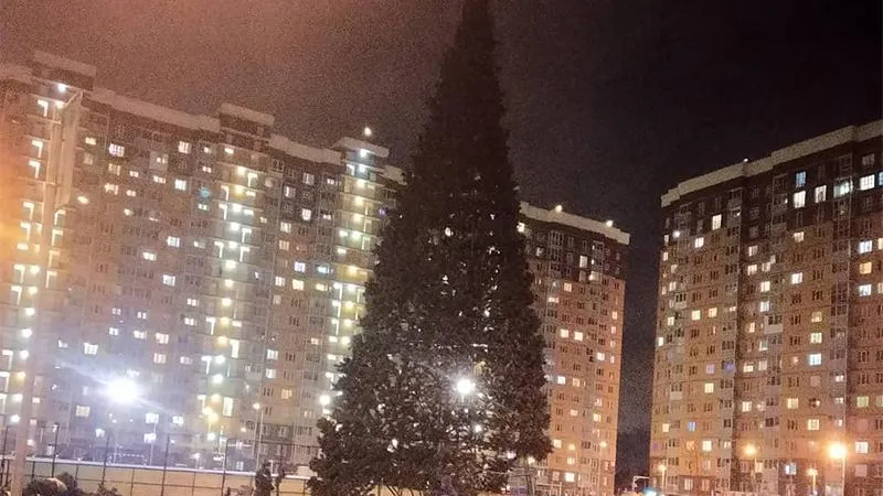 Новогодние елки начали устанавливать в Люберцах