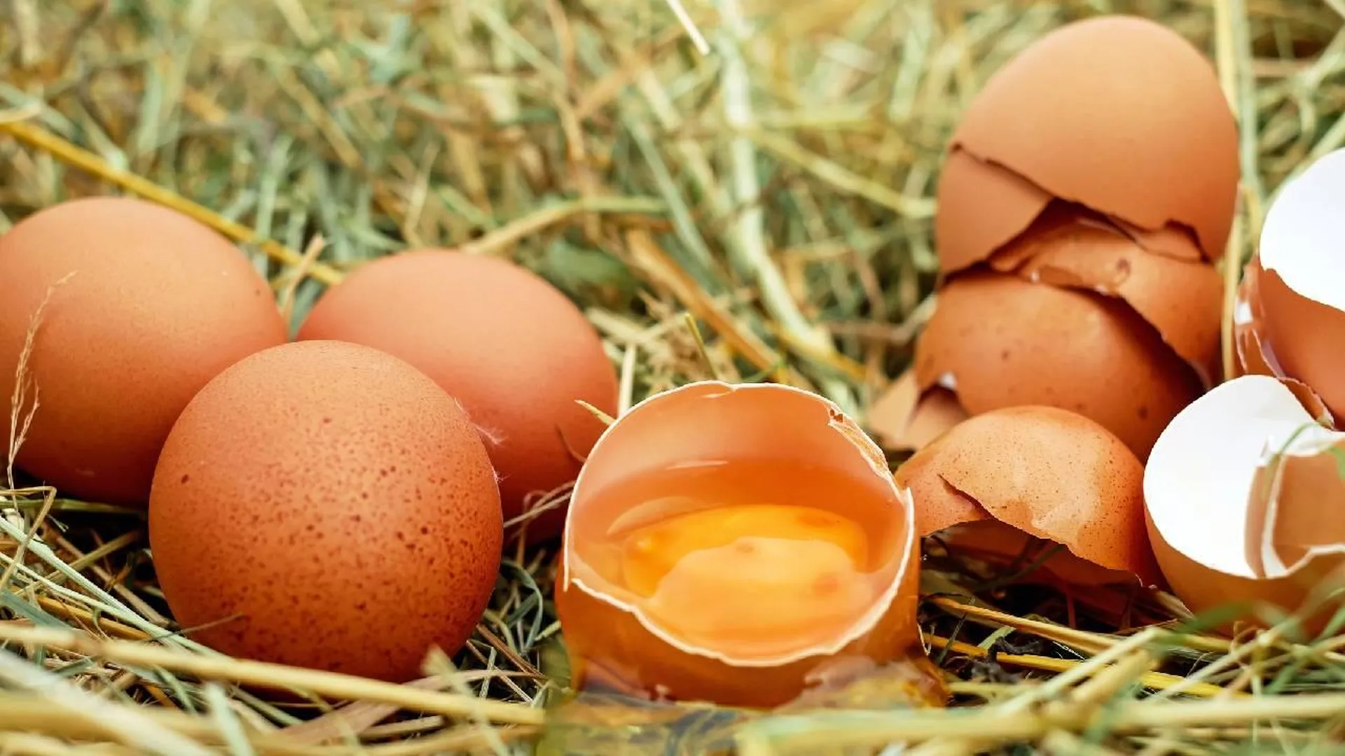 Диетолог Лазуренко назвала яйца, сваренные всмятку, более полезными