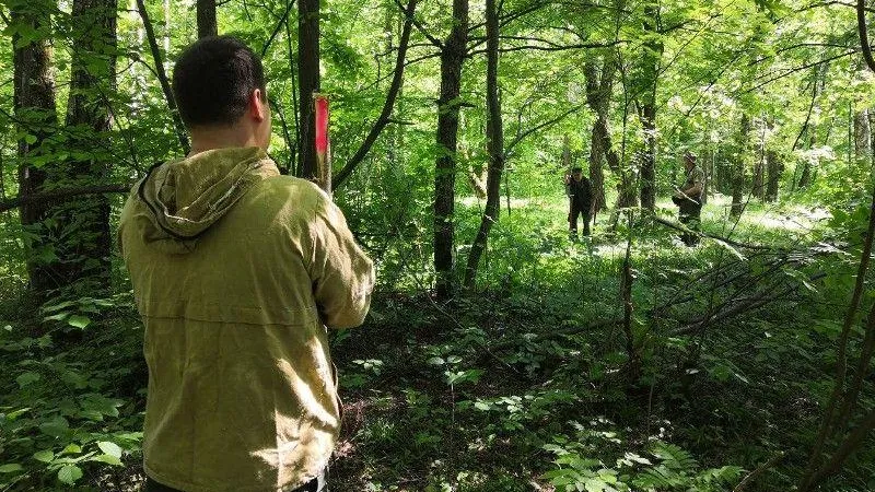 План по обследованию лесов перевыполнили в Подмосковье