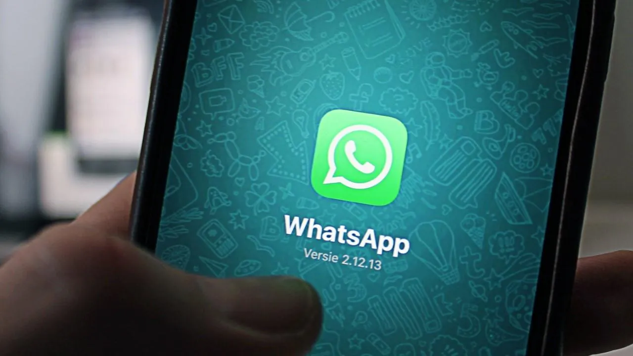 В WhatsApp можно будет искать пользователей по никнеймам