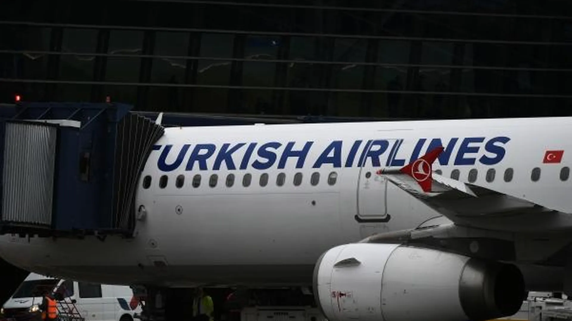 Перелет не туда. Почему Turkish Airlines не пустила россиян в Южную Америку