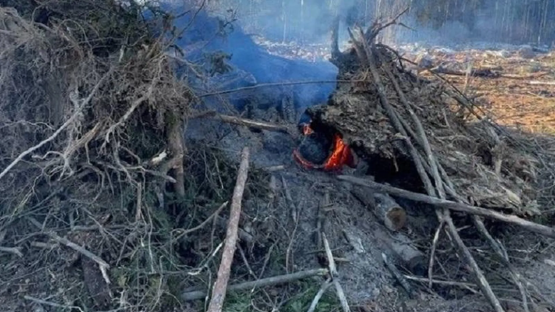 Пожар в Краснознаменске предотвратили после вмешательства Минэкологии